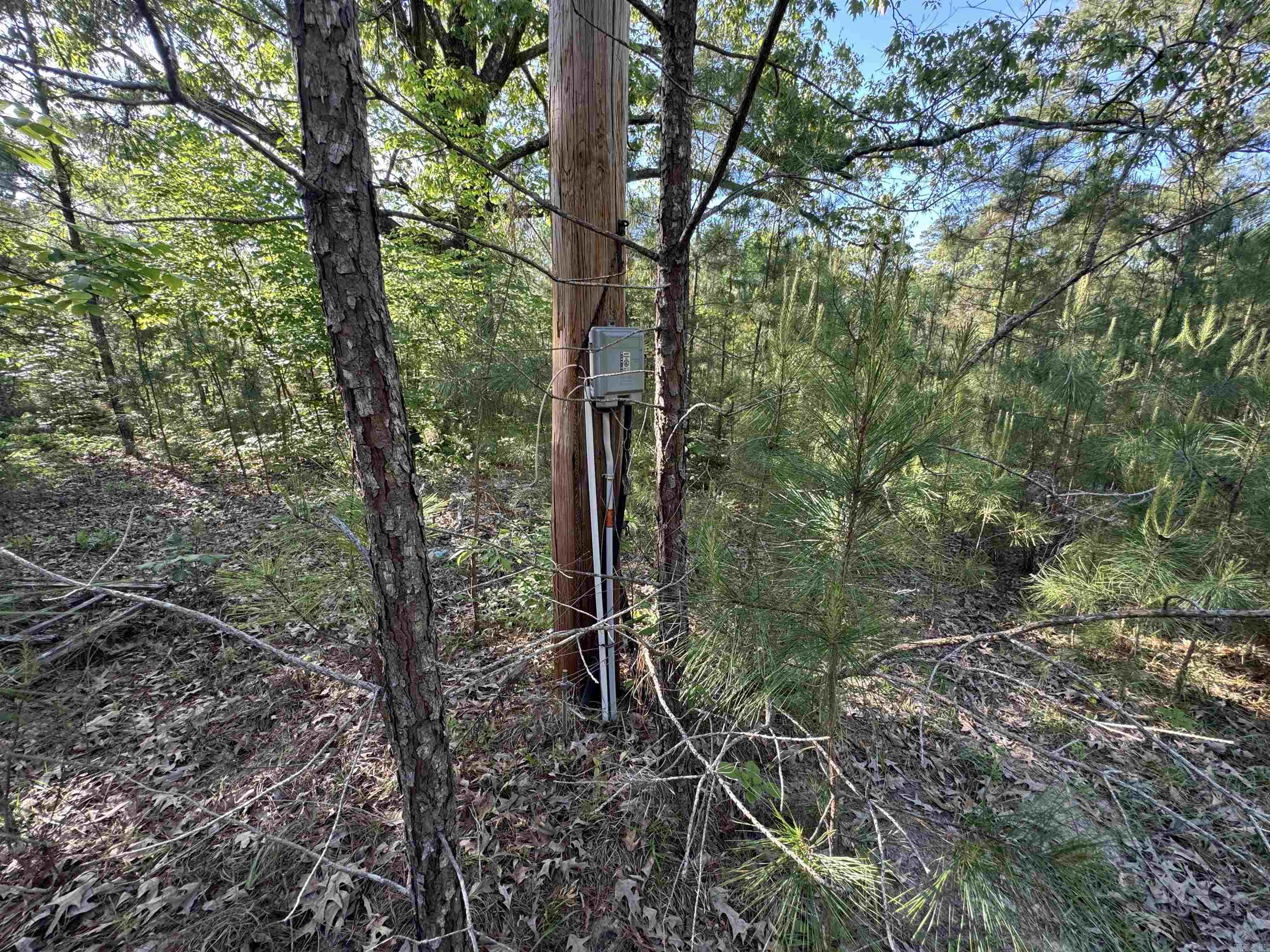 SLAUGHTER (NEIL) SD - Land