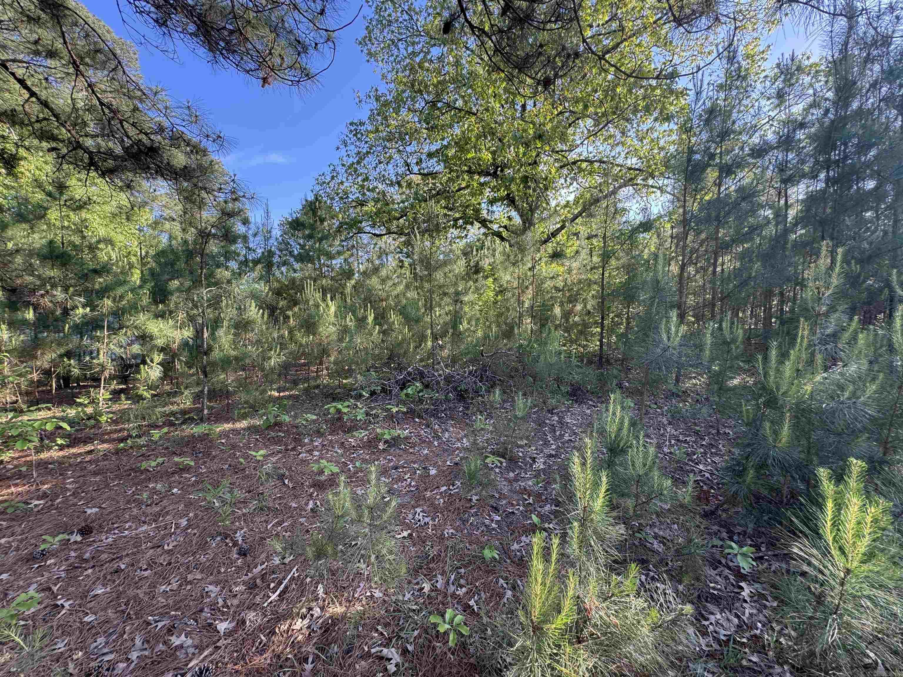 SLAUGHTER (NEIL) SD - Land