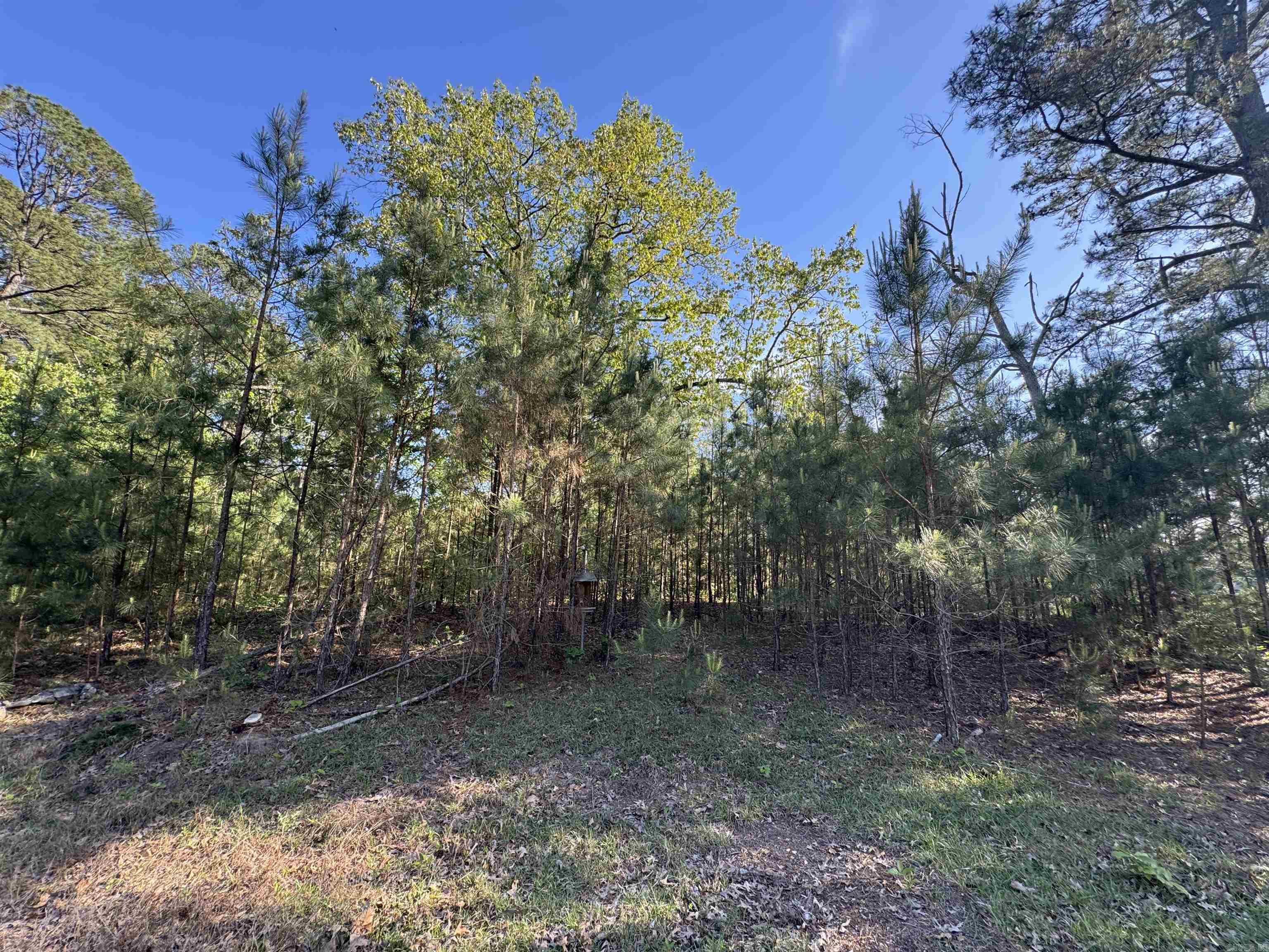 SLAUGHTER (NEIL) SD - Land