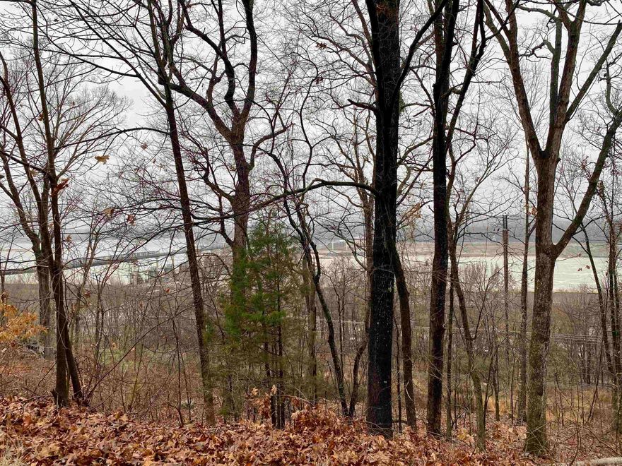 Excellent opportunity!  Build your dream home with breathtaking views of the Arkansas River.  Located just above the Big Dam Bridge close to golf course, park and local restaurants.  This is one of the most desirable locations in Little Rock.  Take a look today!