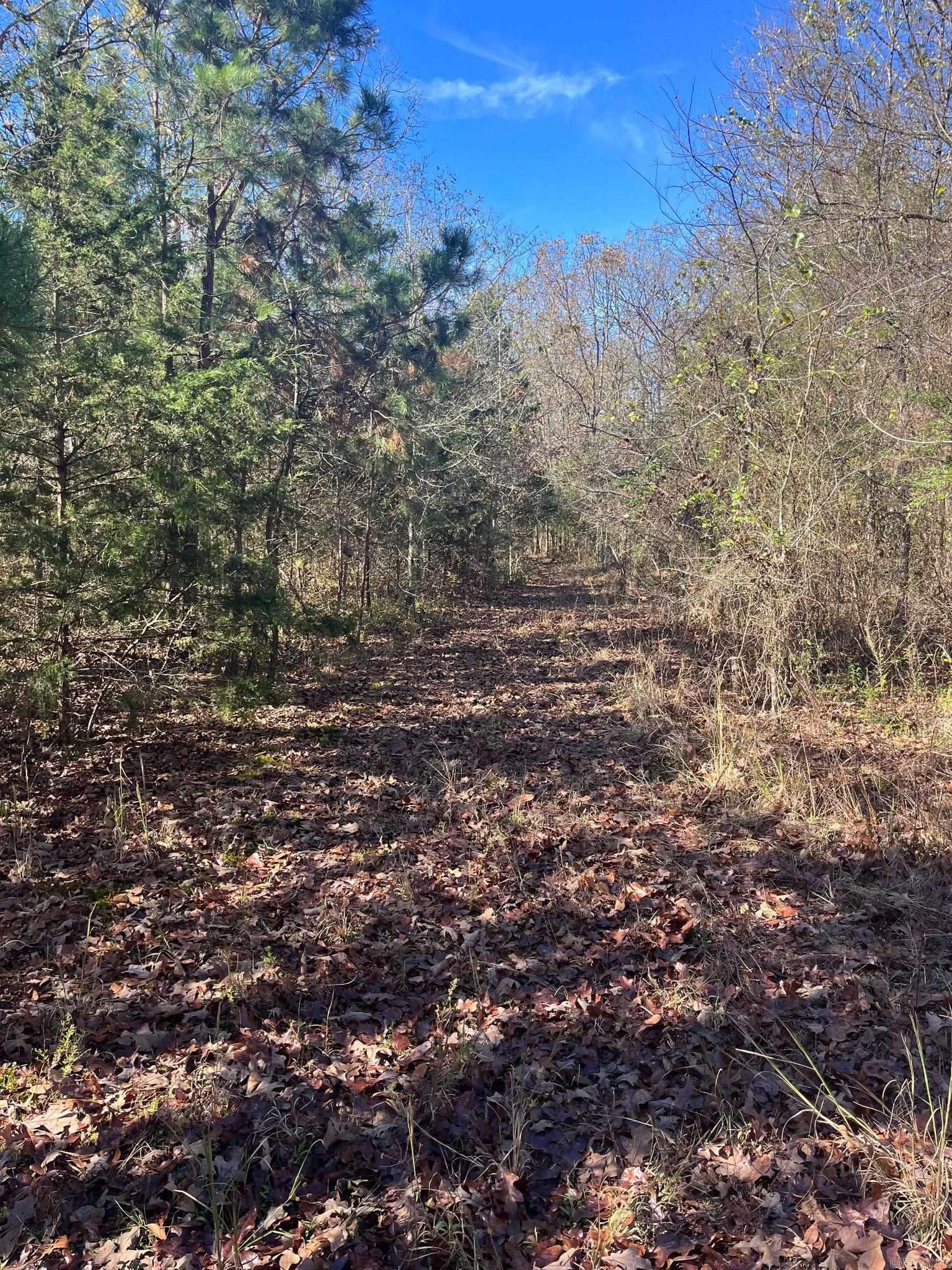 Looking for land that's both private and conveniently located? Take a look at this wooded 13 acres tucked away in the middle of town! Ward Creek runs through the property and it is situated close to 71N and Mena High School. This could be a great investment opportunity or an ideal location for a private residence! SO many possibilities with this one!