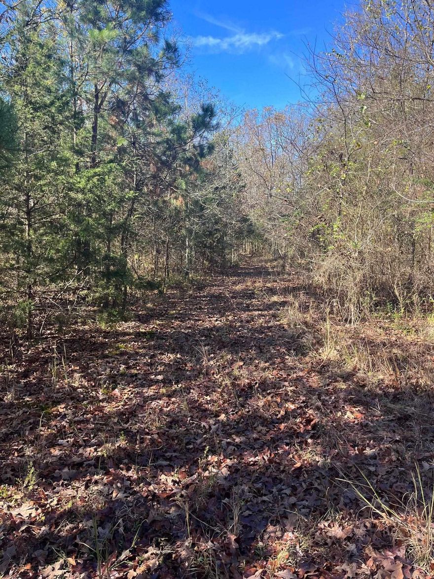 Looking for land that's both private and conveniently located? Take a look at this wooded 13 acres tucked away in the middle of town! Ward Creek runs through the property and it is situated close to 71N and Mena High School. This could be a great investment opportunity or an ideal location for a private residence! SO many possibilities with this one!
