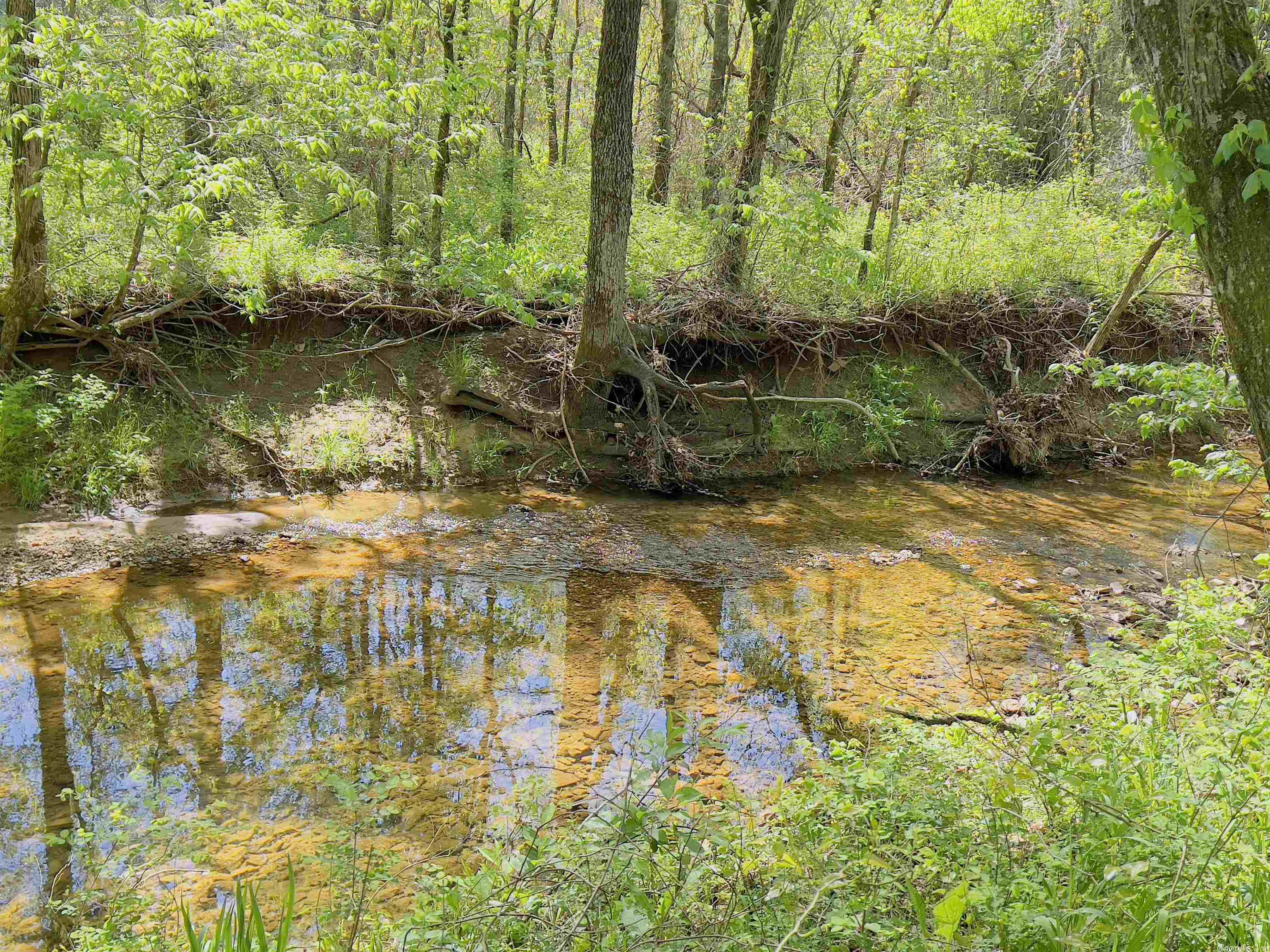 Metes & Bounds - Farm