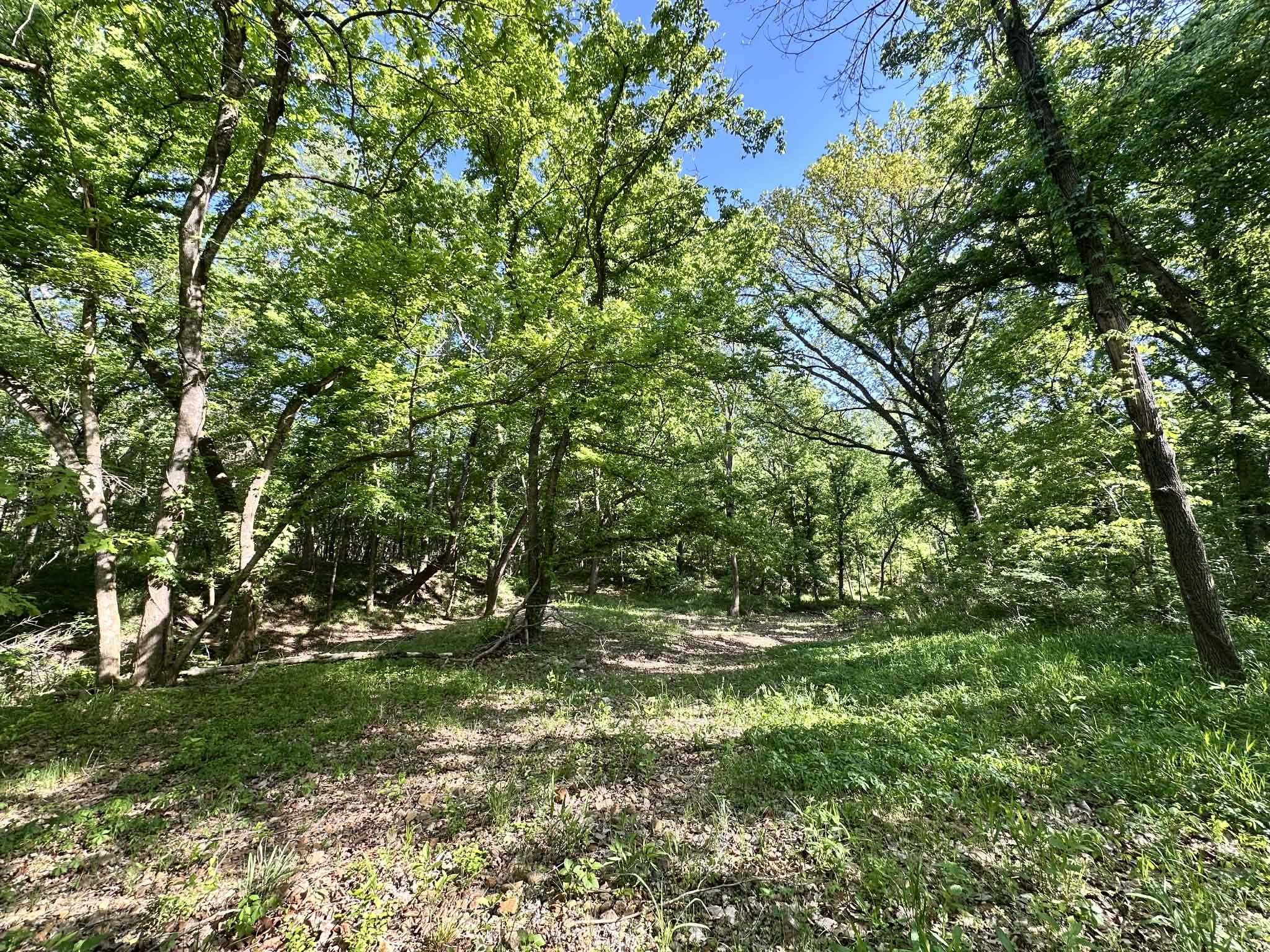 KIMA FIRST - Residential