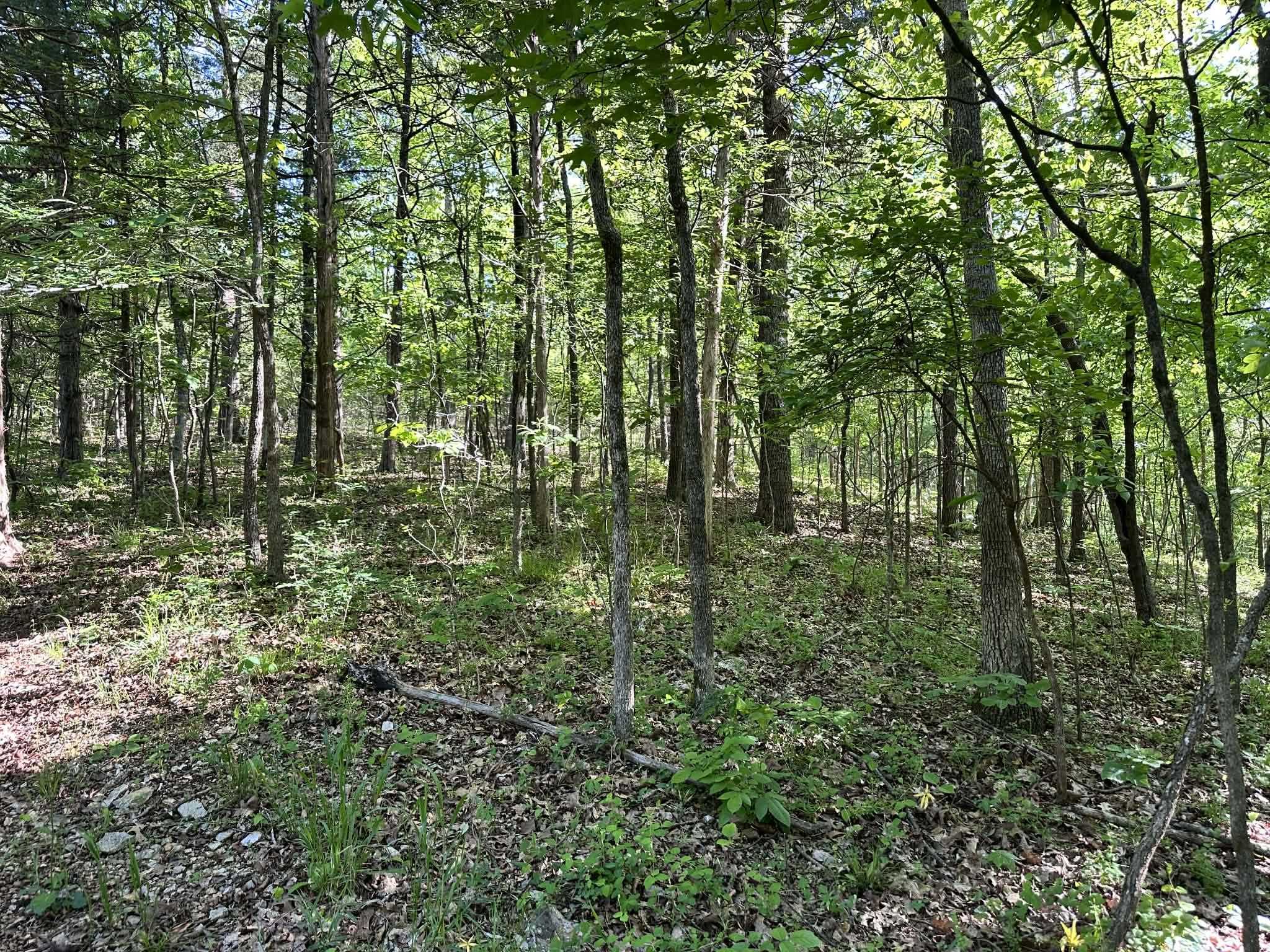 KIMA FIRST - Residential