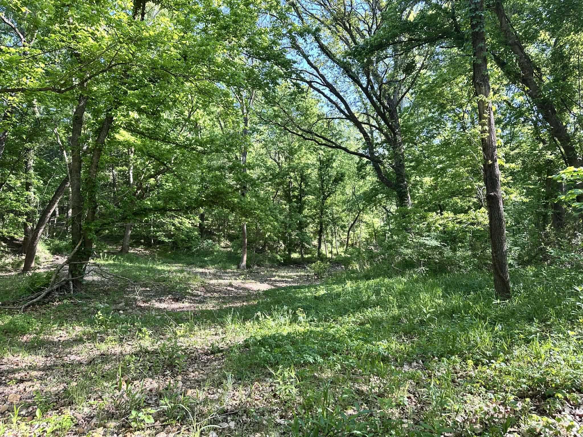 KIMA FIRST - Residential