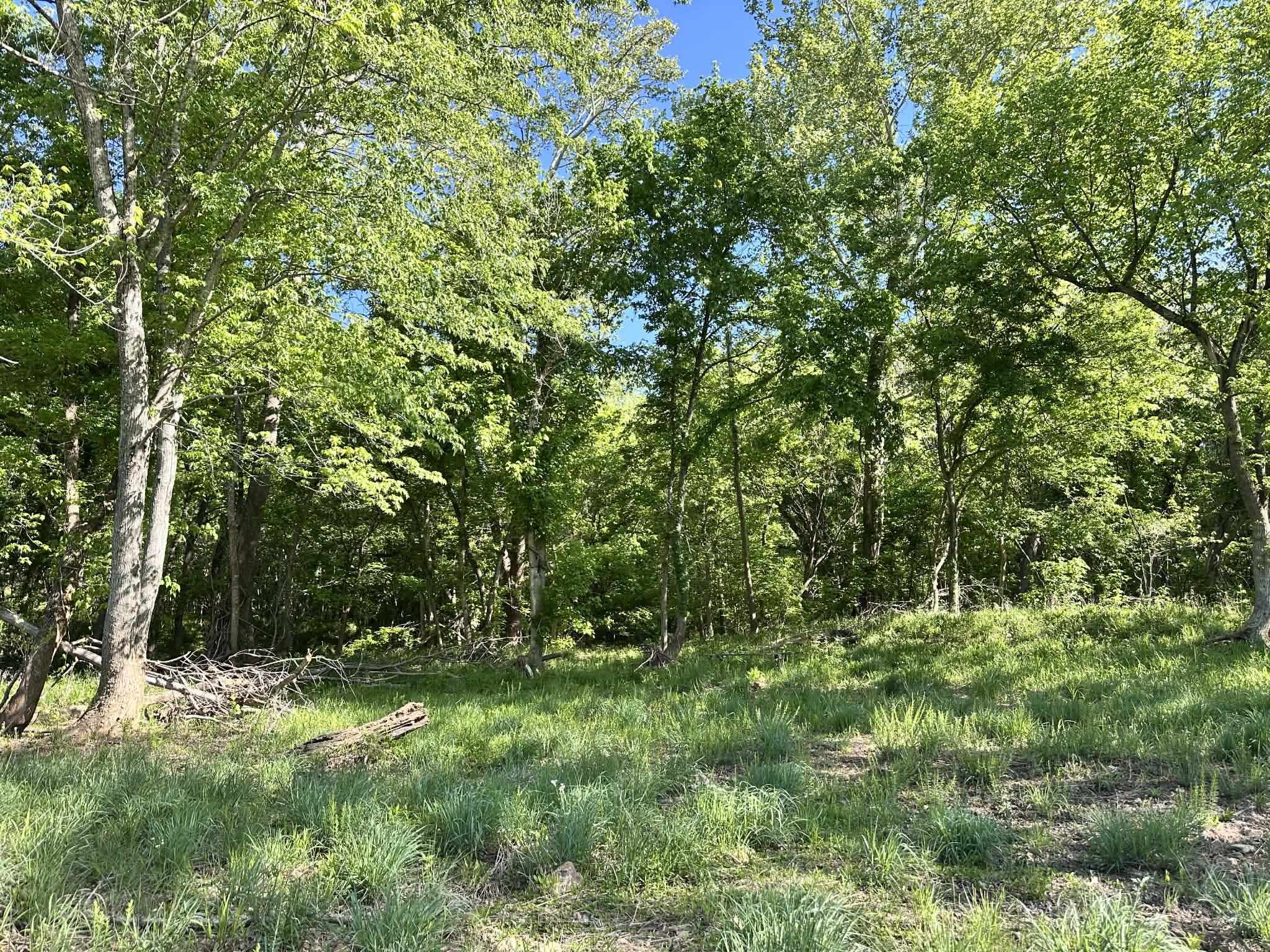 KIMA FIRST - Residential