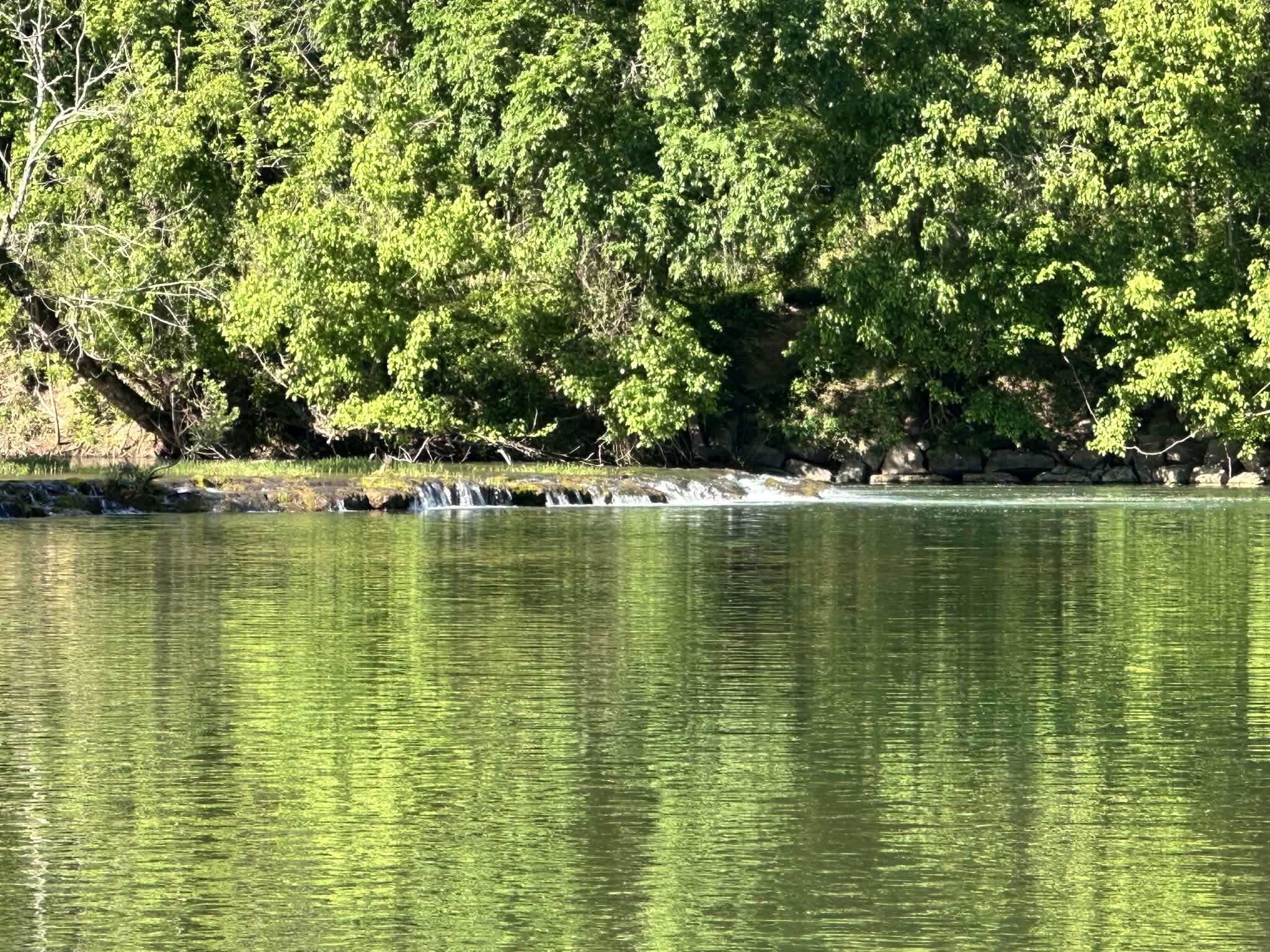 KIMA FIRST - Residential