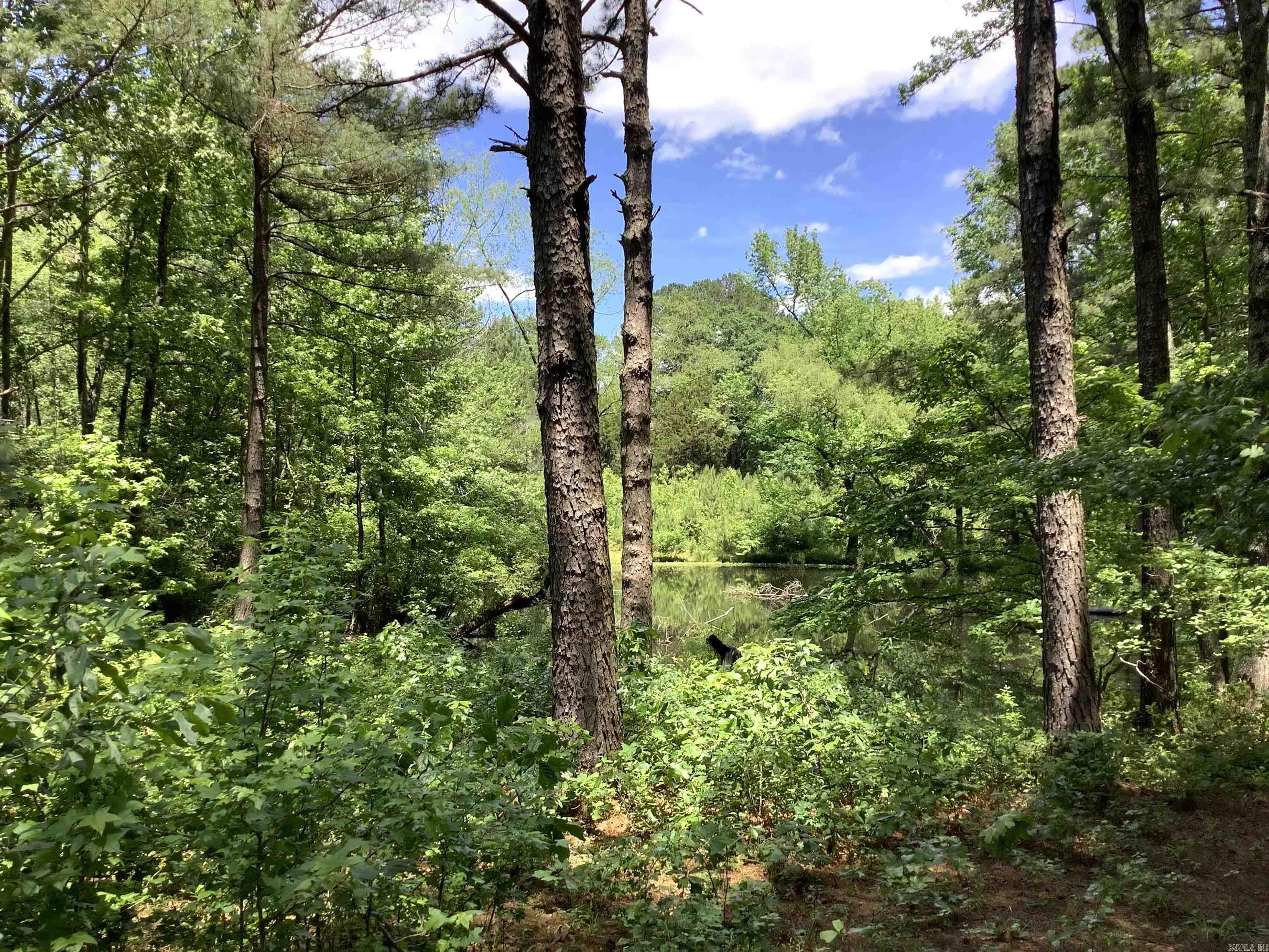 Not in Subdivision - Land