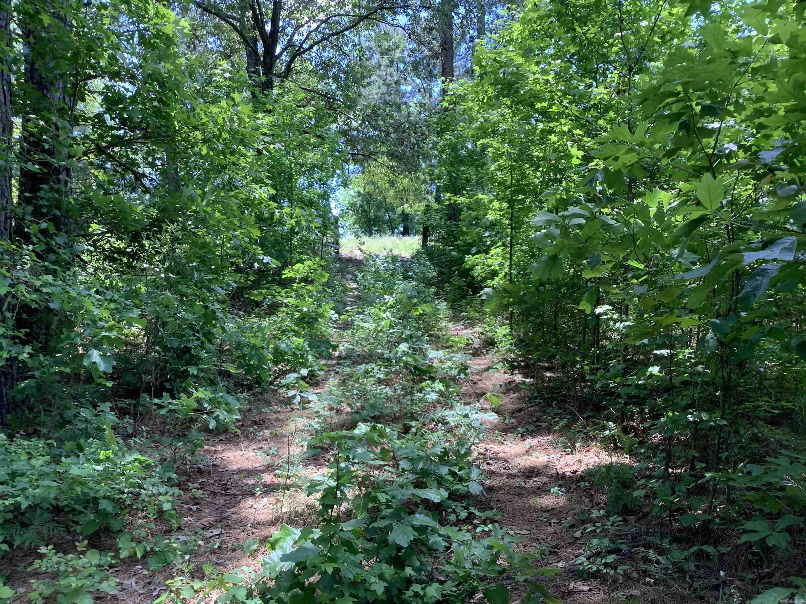 Not in Subdivision - Land