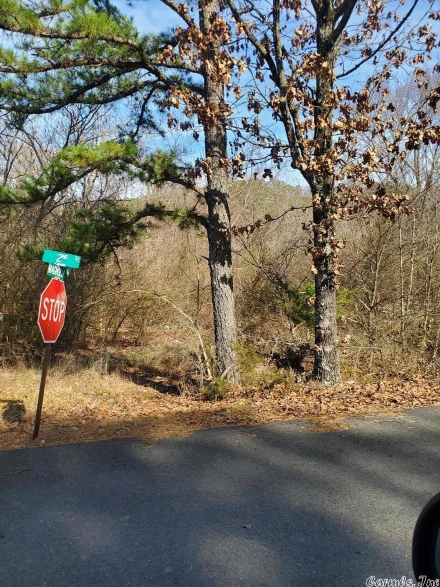 Two Wooded Lots at the corner of Magnolia and Second Streets in Mena.  200 feet along Second and 140 feet deep along Magnolia. This property is located in the northeastern part of the city.  Seller may work to remove some of the trees and thickety growth.