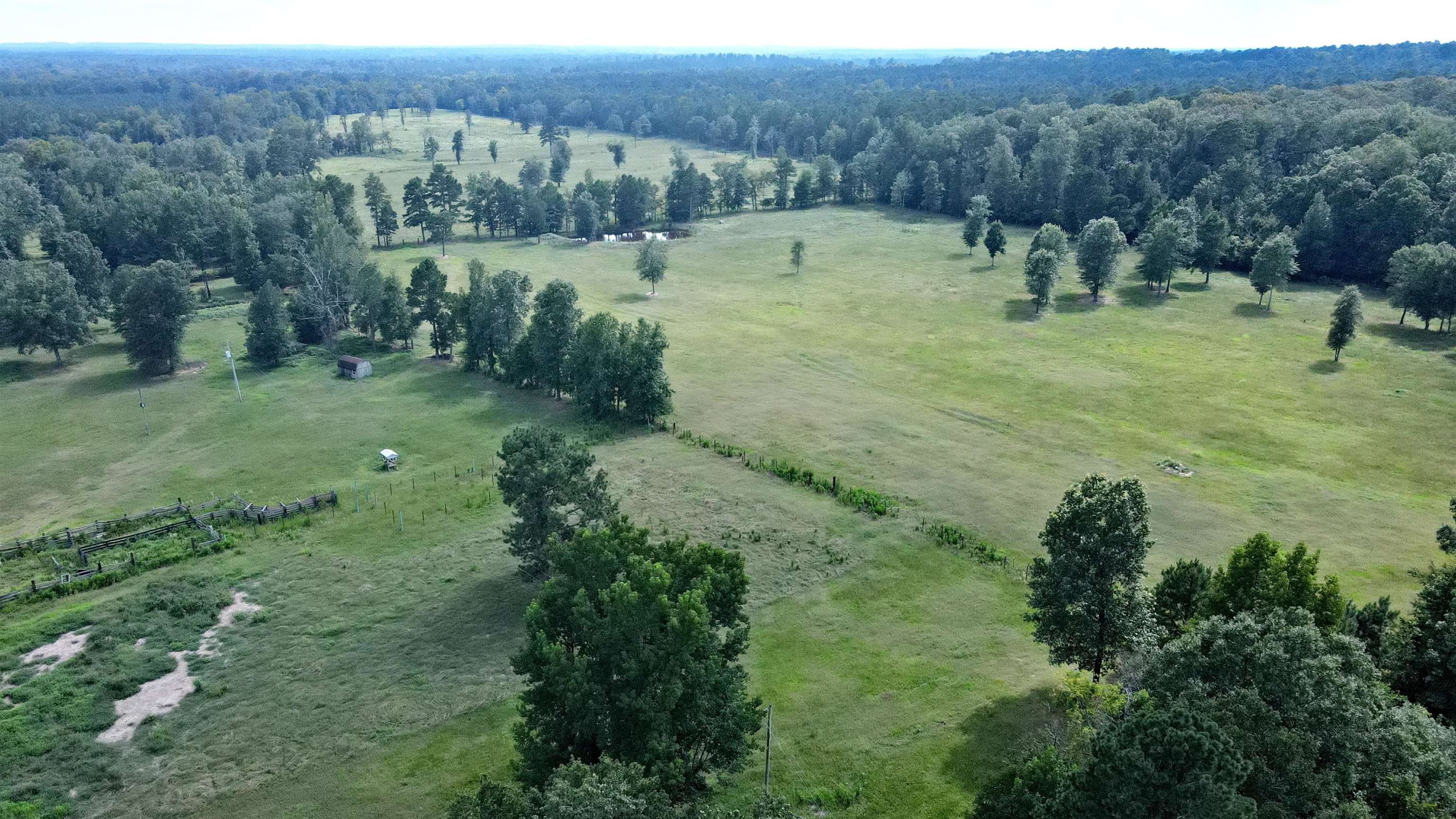 Calling all Ranchers, Cowboys, and Farmers, or anyone who loves the outdoors to this true working cattle/horse ranch just miles from I-30 in Clark County, Arkansas and nearby Oaklawn Racing Resort in Hot Springs. Turn off a paved road, to all the amenities and possibilities including: 40x50 Pole Barn with lean-to on each side, feed bins, feed silos, several outbuildings, sizes included are 10x 12 tractor shed, 10x16 tool/storage shed. 5 Strand Barbed-wire fencing. Squeeze Shoot, Off Shoot, and Corral for working cattle. Pond for watering livestock and also a well with a natural spring. The land has excellent fertile pastures for grazing along with harvesting hay. Seller is averaging 5 bales of hay per acre, on his last cut. Nearby creeks for irrigation and recreational fun after the farm work is done. **Additional 54.89 AC's available for purchase, with Hollywood Creek access! Enjoy it ALL with this property! FAMILY, FARMING, & FUN! Call Today!