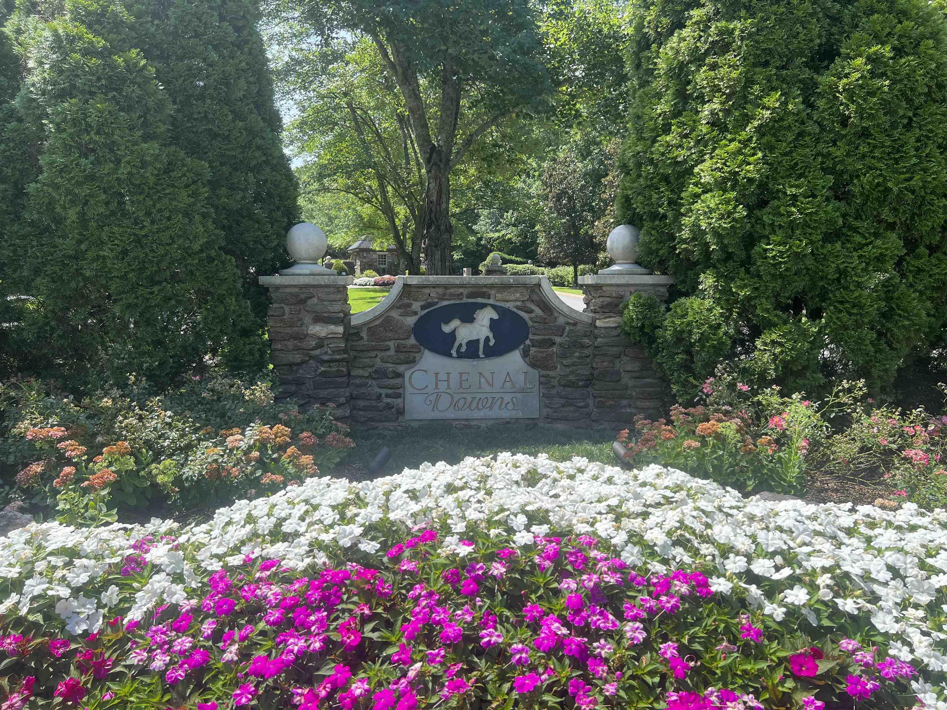 CHENAL DOWNS - Residential