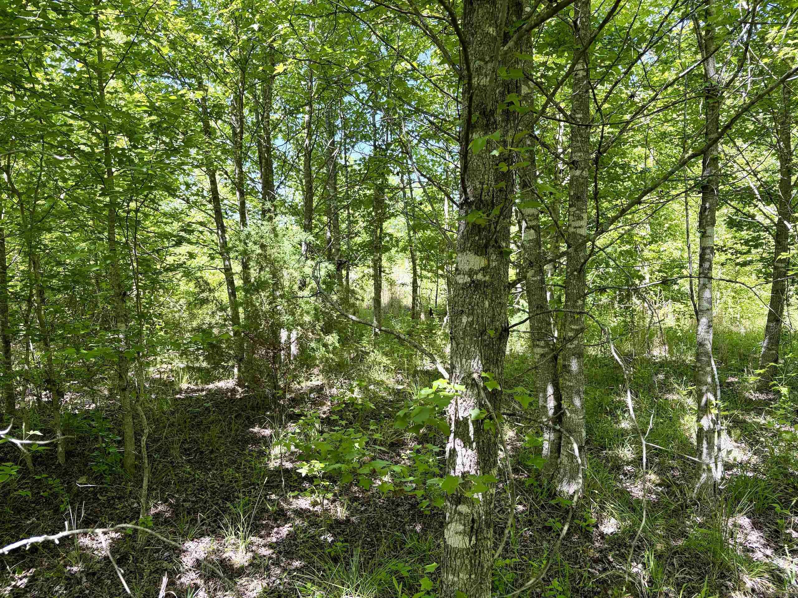 Not in Subdivision - Land