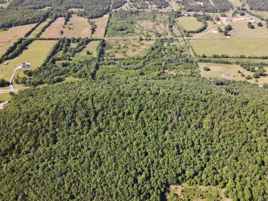 Located in the highly desirable Greenbrier School District, this exceptional property offers a rare combination of location, accessibility, scenery, and development potential. This historic family homestead presents opportunities for a private estate, restored farmstead, or residential development.  The property features nearly ¾ mile of road frontage with multiple access points, providing outstanding flexibility for future use. Utilities are available, and nearby subdivisions highlight the area’s continued growth and investment potential.  The land offers a balanced mix of gently rolling terrain, creek frontage, and elevated mountain views. Jacks Fork Creek flows through the property, adding scenic beauty and wildlife habitat. Some low areas near the creek experience seasonal flooding.  Toward the south, the property rises to the top of Horseshoe Mountain, where several highly buildable locations offer panoramic views to the north and south—ideal for custom homes, private estates, or premium view lots.  With road frontage, utilities, creek frontage, mountain views, and a prime location, this property offers exceptional versatility and long-term value.