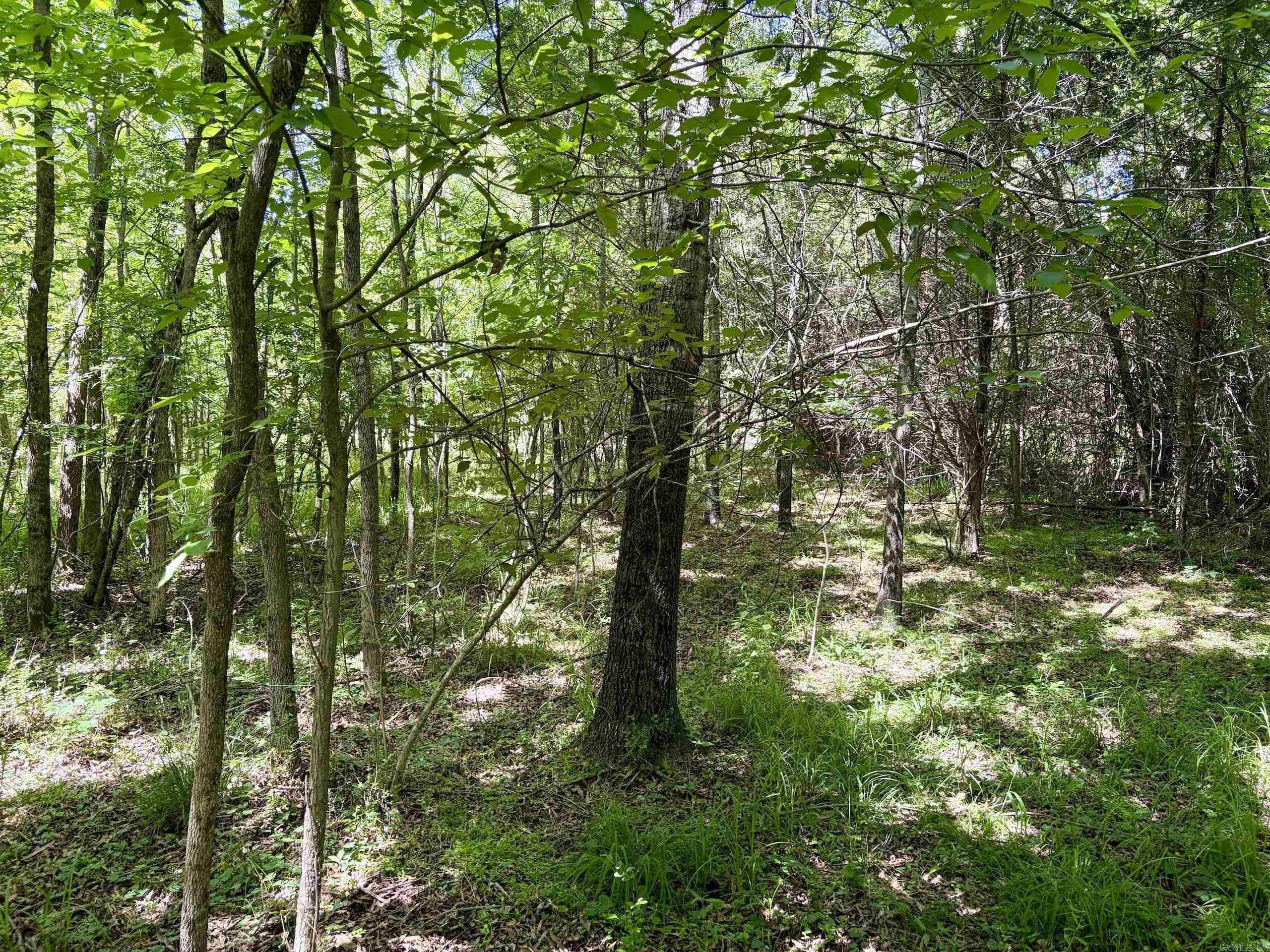 Not in Subdivision - Land