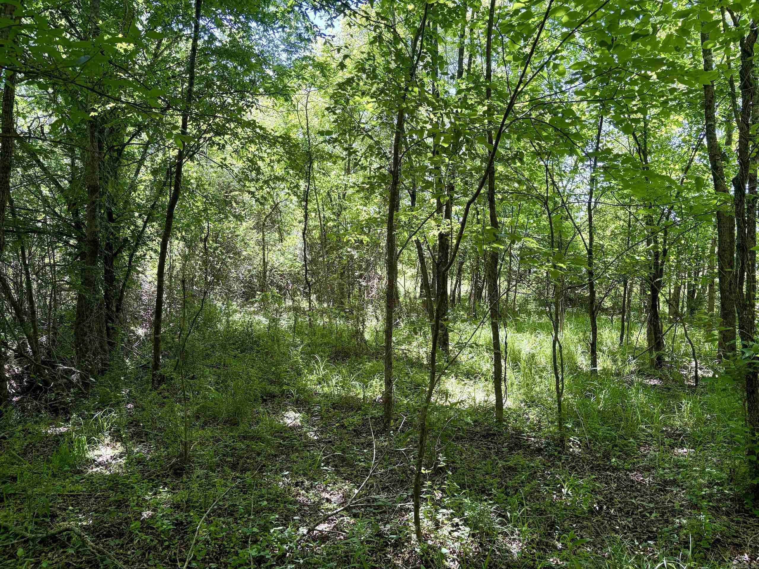 Not in Subdivision - Land