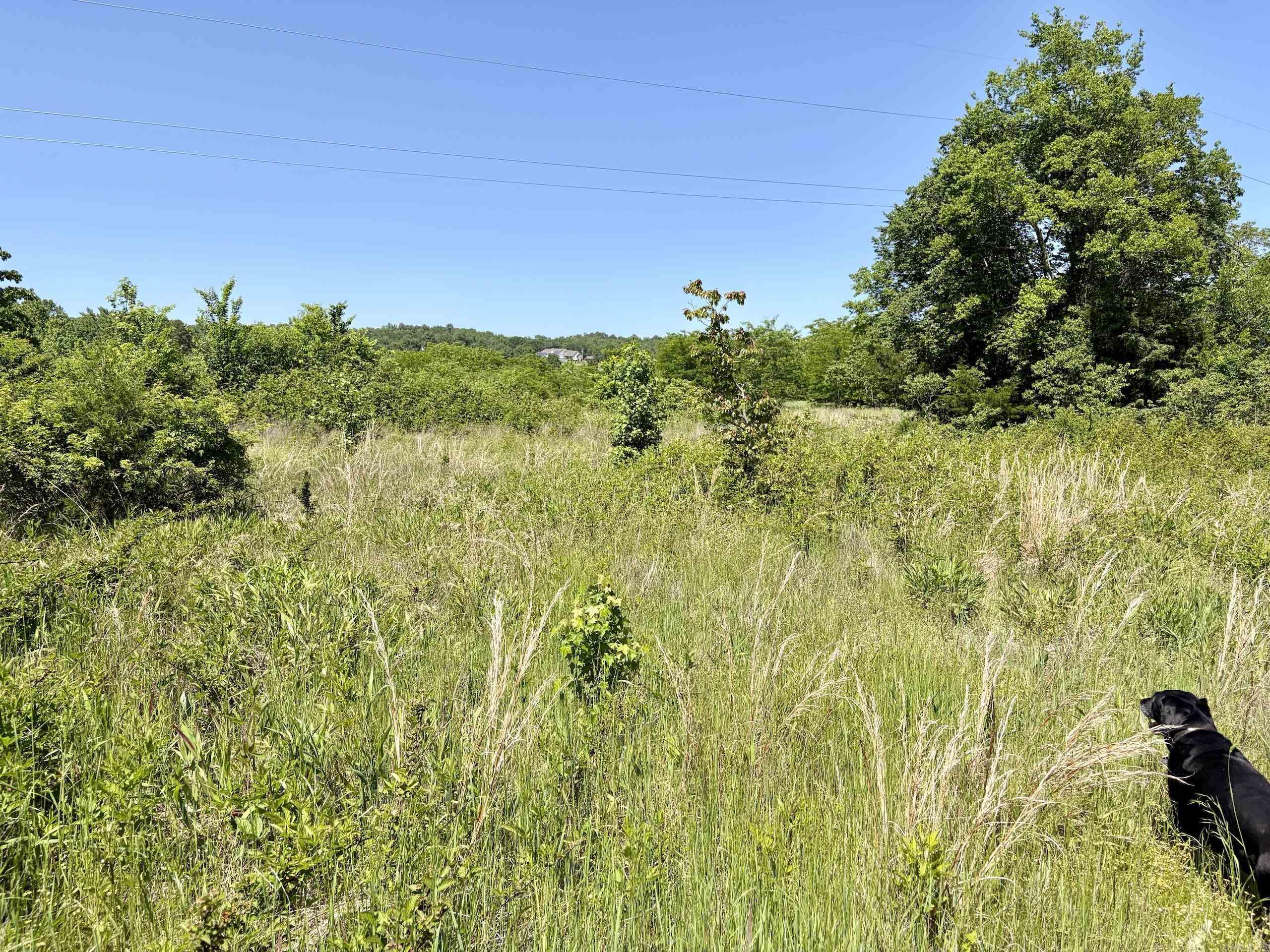 Not in Subdivision - Land