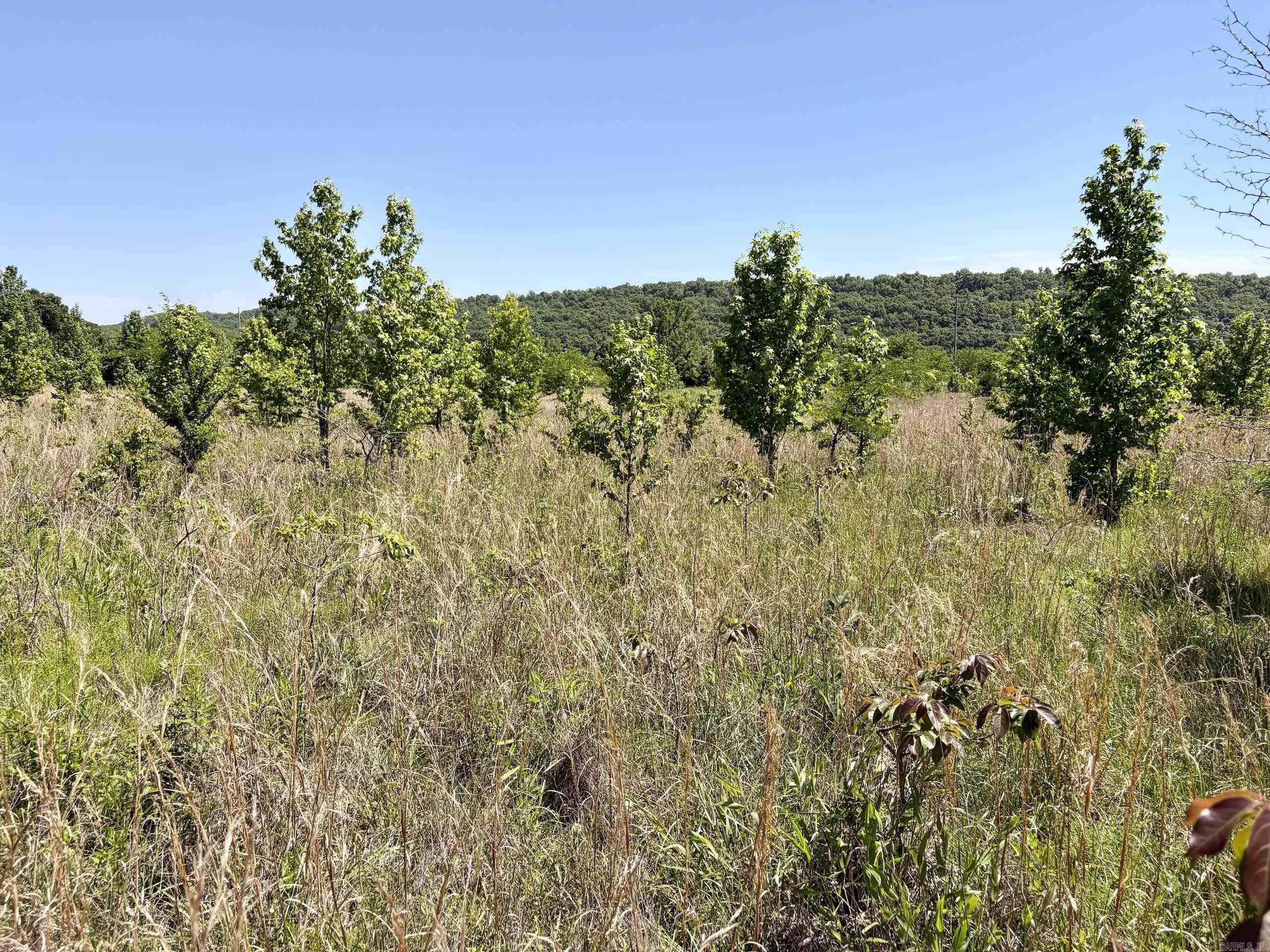 Not in Subdivision - Land