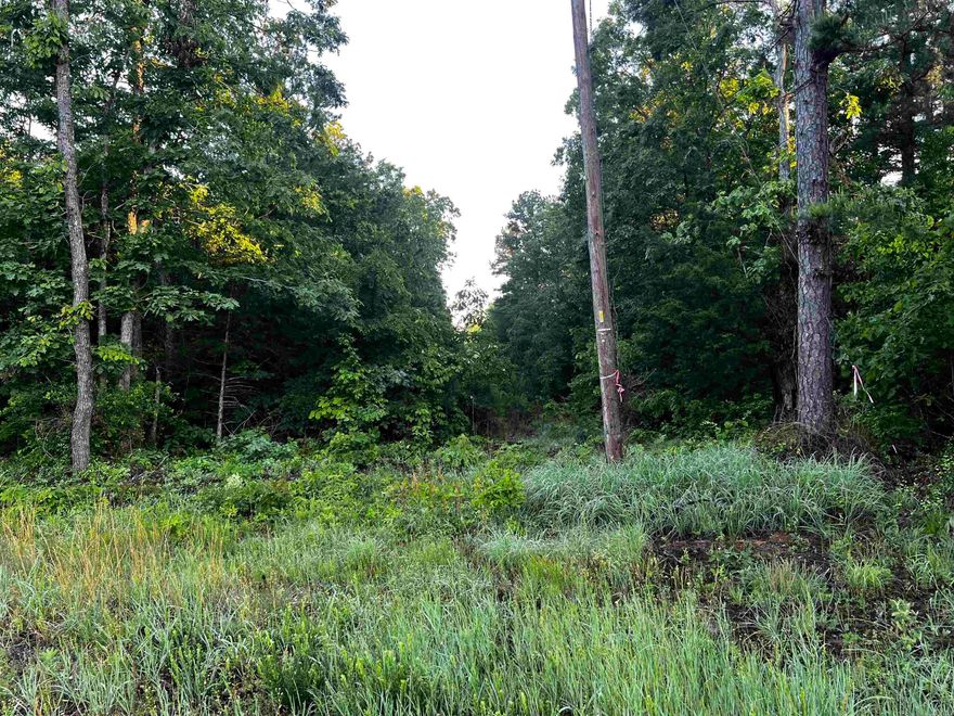 65 acres located south of Hwy 16 (Pangburn Rd)  between Heber Springs and Pangburn, property has approximately 1/2 mile of Good Springs Rd paved road, frontage, mineral rights are negotiable, there is a producing gas well, ownership map and topo in docs on line