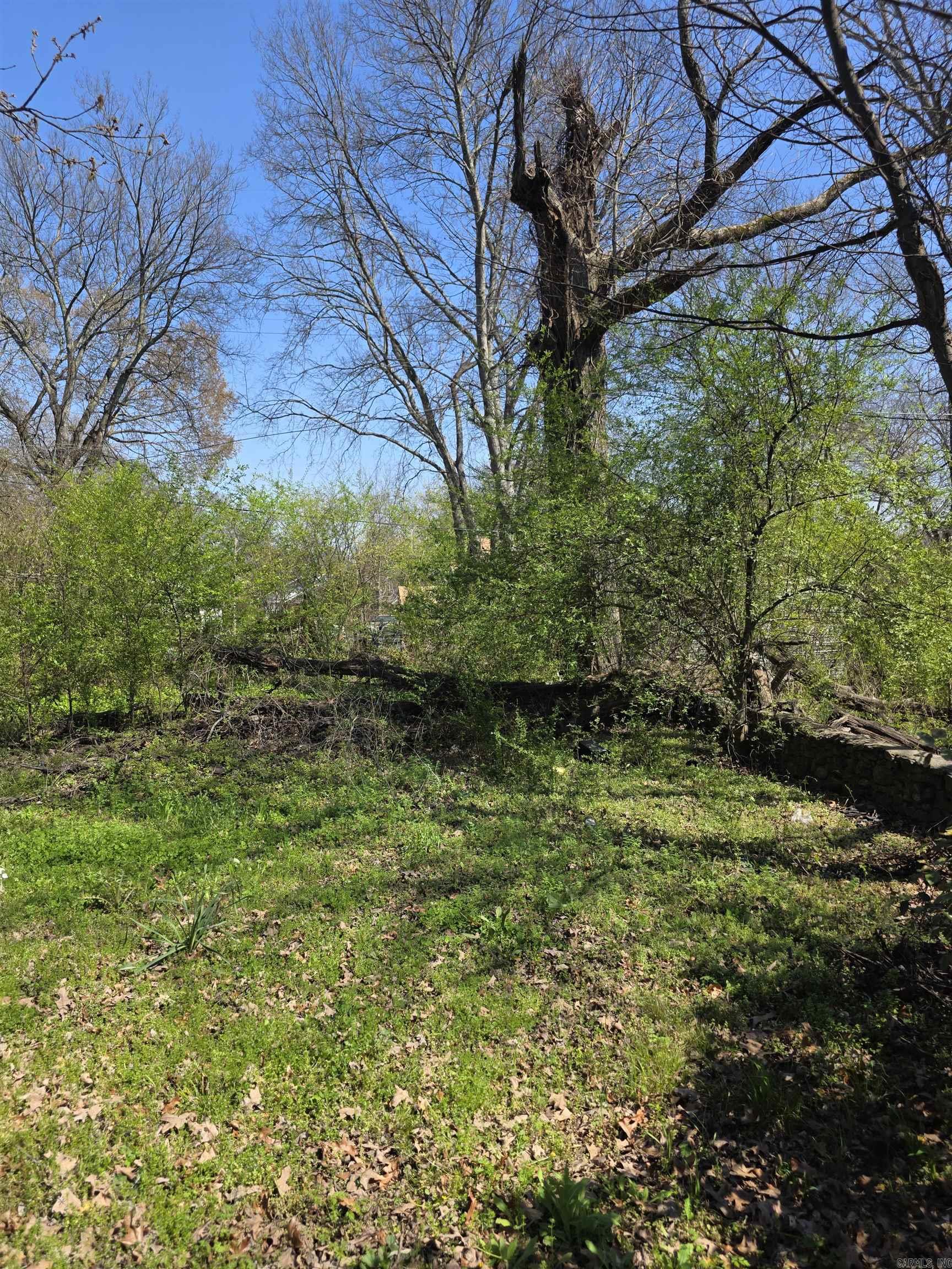 PARK ADDN - Residential