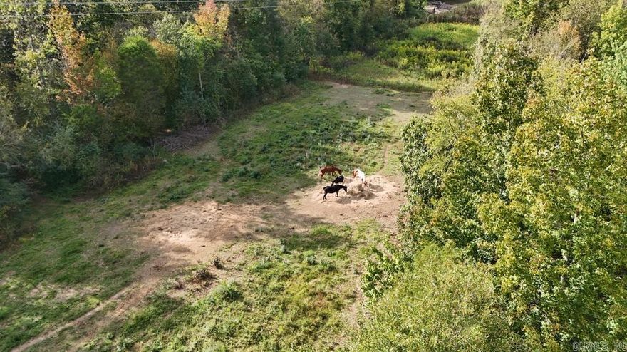 A true escape to nature, the name “Peaceful Place” says it all. This homesteader’s dream is tucked away in the beautiful Ouachita Mountains, you can hear Collier Creek flowing nearby—just far enough from town to enjoy complete solitude, yet only a stone's throw to Caddo Hills school, and 15-minute drive to Glenwood for dining, groceries, and everyday conveniences. Enter through the first gate onto your private drive and discover a serene setting just 10 minutes from public access to the Caddo River. The property is already equipped with two wells, septic, and power, and is fully gated and fenced for privacy and security. Established peach, apple, and persimmon trees add natural beauty and seasonal harvests.  A storage building and current mobile home are included, offering immediate use or a base while you create your vision for this peaceful retreat..