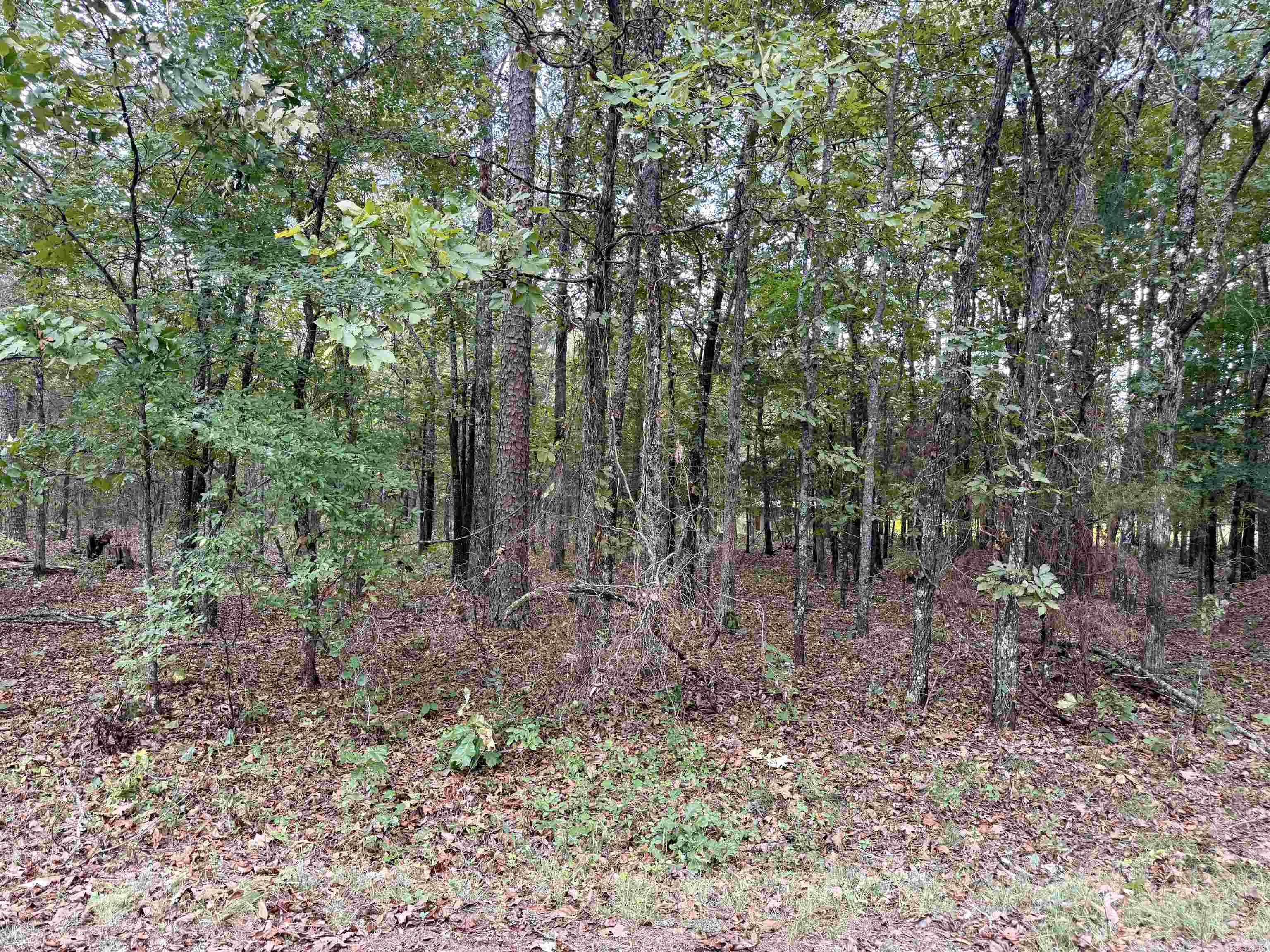 Lakeshore Hills II - Land