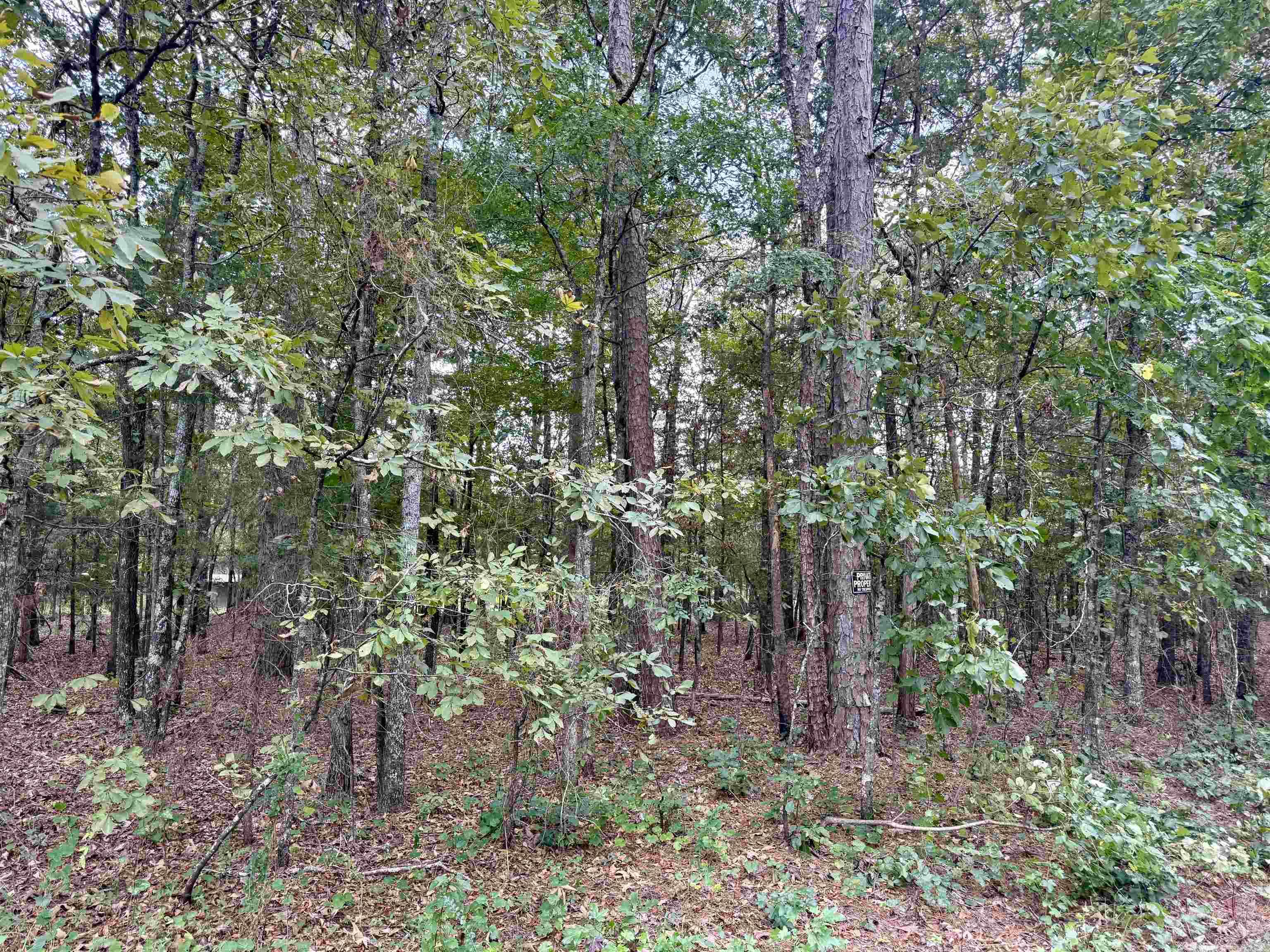 Lakeshore Hills II - Land