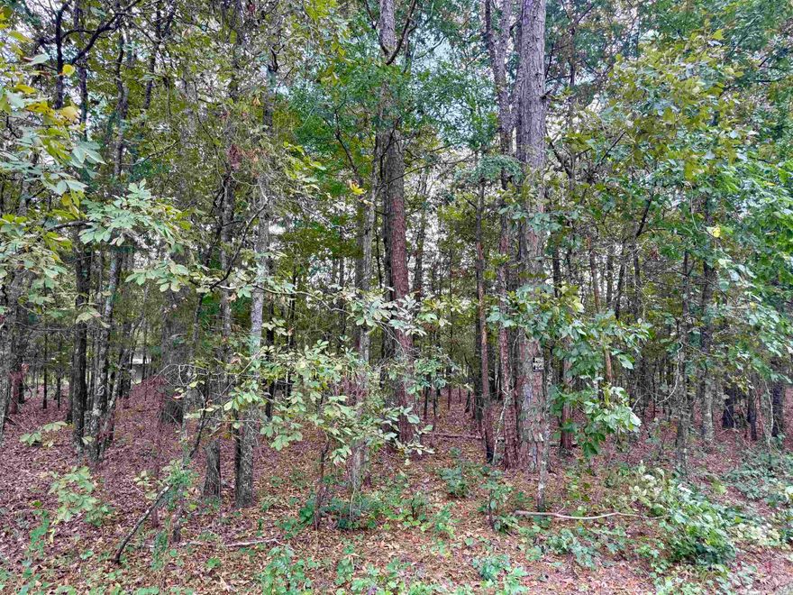 1.31 acre tract. Lots 5 & 6 of Lakeshore Hills II Subdivision. Some utilities available at the road including public water. Perc on file for lot 5. Within a few minutes of Sugarloaf Recreation Park, The Narrows and Millcreek Recreation Park on Greers Ferry Lake. Mobiles allowed.