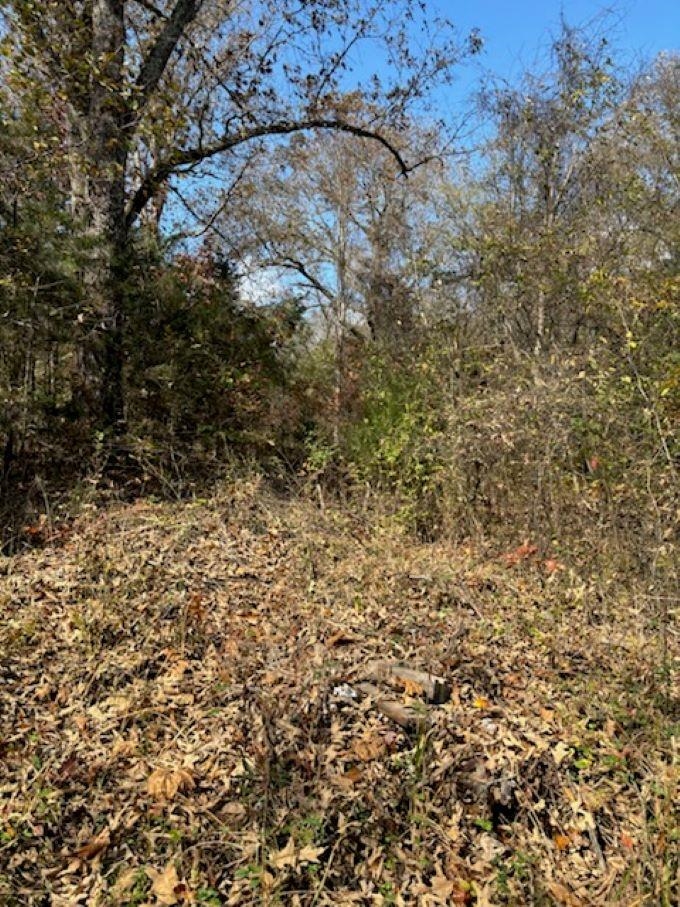 my sellers want you to know and I quote, "Completely wooded 3.18 acre waiting for many uses. This beautiful lot consists of gently rising terrain leading to an expansive view of the Spring River and the Ozark Hills. A driveway from the county road of Walnut Cove into this lot and its overview was cleared, graded and seeded appropriately 10 years ago. Presently, driveway brush overgrowth could be easily cleared once again. Access from the property to the Spring River below is less than 2 miles by county roads. Olde Hardy is close. Electrical is close as well. No subdivision restrictions exist for property use". End of quote! Now I say, beat the rush, make it yours today!