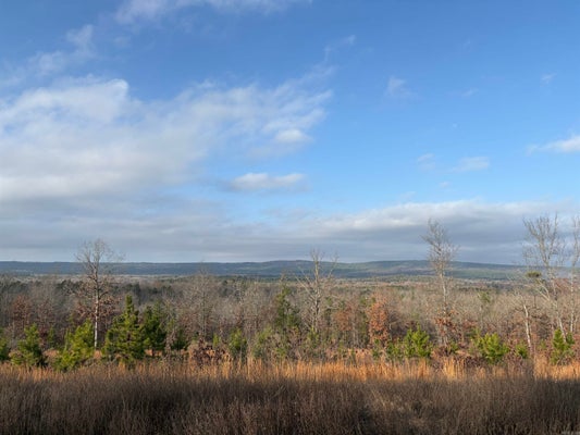 34 WATERVIEW GARDEN LN, ROLAND, AR 72135 - Image efe37f5fa700bde61e564a0e71e44746/805534914
