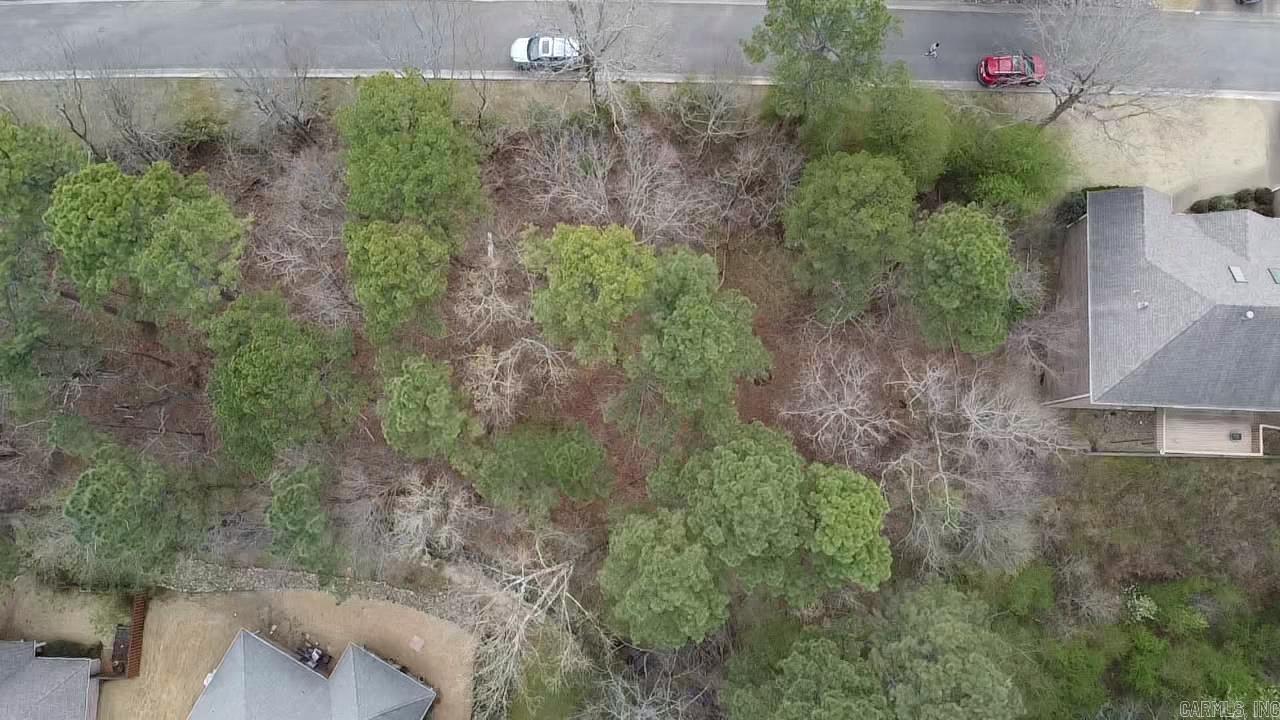 Forest View II - Land