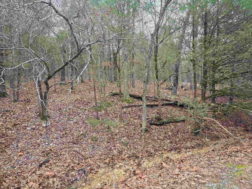 Wonderful and wooded lot in the heart of Cherokee Village. Secluded and away from it all. But close to a main road for quick exits from the Village for shopping, dining and entertainment. Buy this lot and pick your spot to build your dream home or just a getaway cabin. With ownership of this lot you will have access to all the amenities of Cherokee Village such as the 7 lakes and Two 18-hole golf courses also the Thunderbird Center and swimming pool, mini golf, parks, hiking trails and don't forget about the beautiful Southfork River for fishing, kayaking or just floating down to wet your toes. This is a wonderful lot to purchase and plan for your future home. Call to purchase this one.