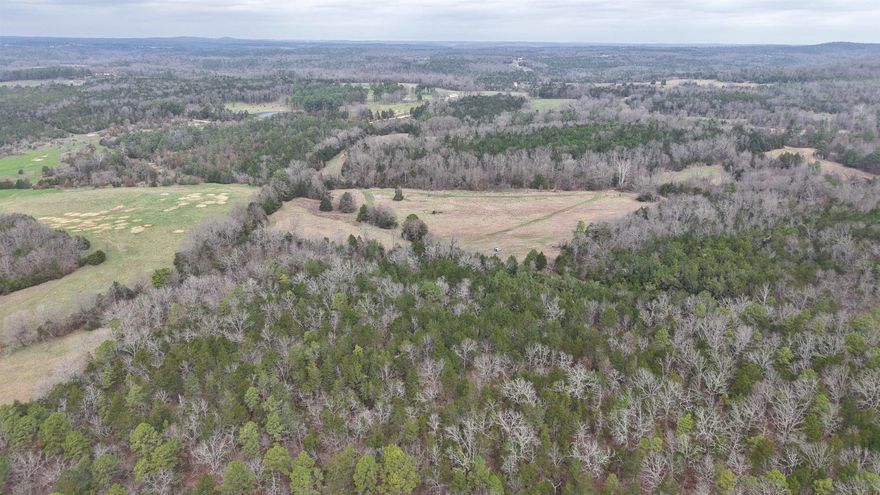 This 80.75-acre property is located in Izard County, Arkansas and offers some of the finest wild turkey and deer hunting in north Arkansas. The land is approximately 70% wooded and 30% open fields, providing an excellent mix of cover and clear space for wildlife and recreation. Utilities are already in place, including electricity, a drilled well, and high-speed internet. Also included is a 28-foot Jayco travel trailer and four box stands strategically positioned across the acreage for optimal hunting. If you’re a wild turkey hunter, it doesn’t get much better than this. The property has a good private road leading to the boundary and is priced to sell at $210,000.