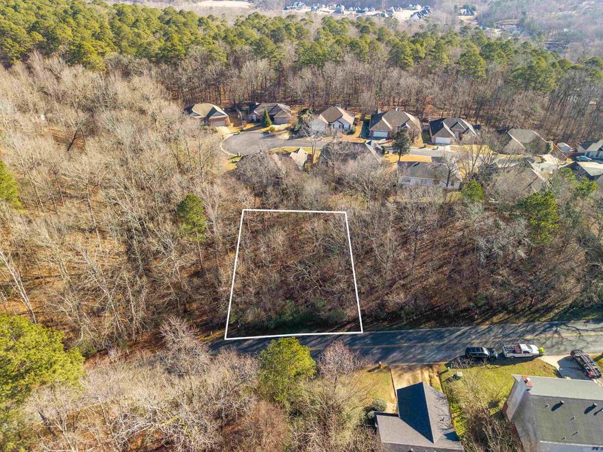 Vacant residential lot located in an established neighborhood in Benton school district.  It is 0.23 acres and is within walking distance to Lyle Park which is located on the Saline River.  Offering fishing, canoeing, playgroung and picnic area and a boatramp.