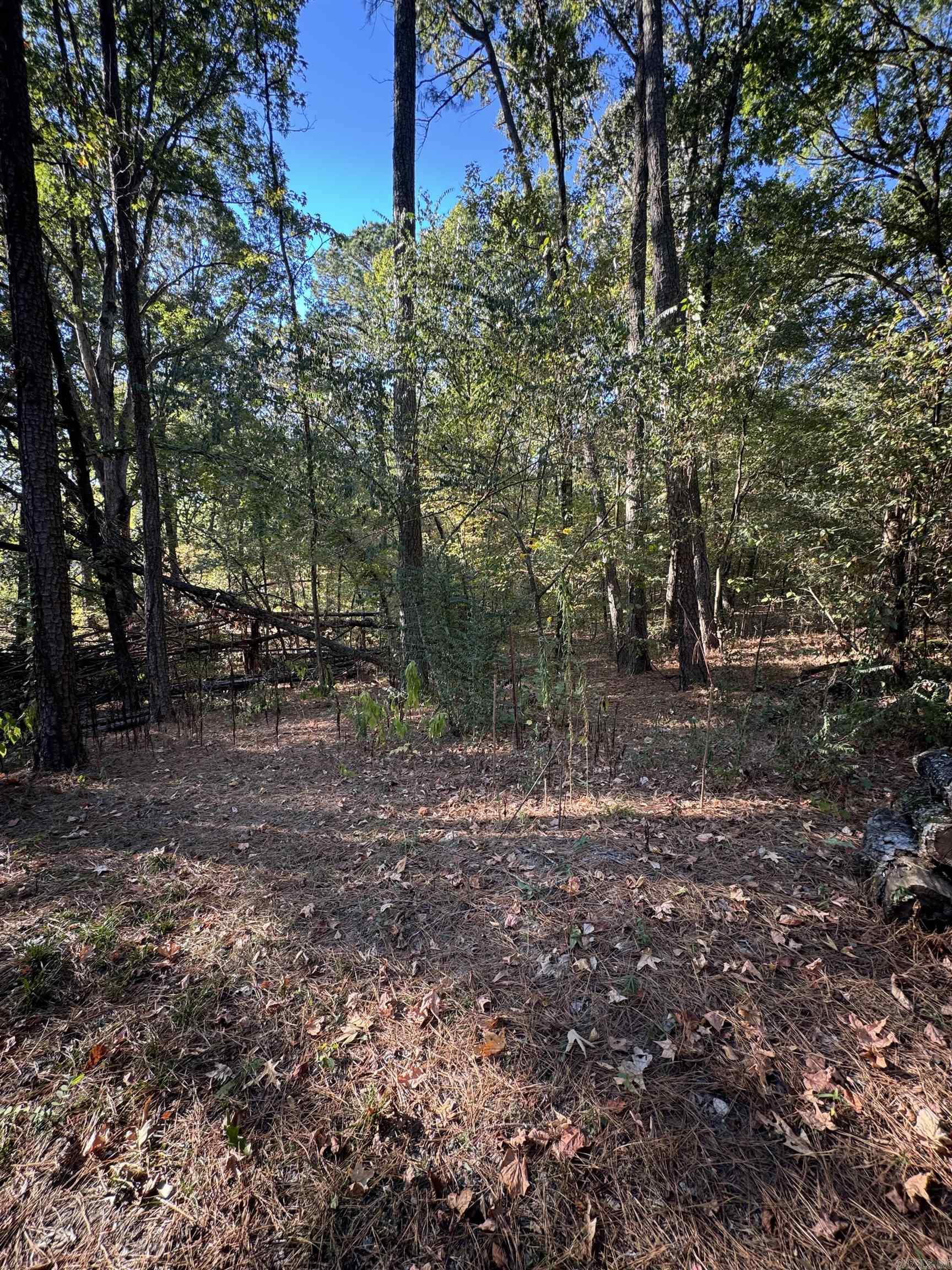 South Lakeview - Residential