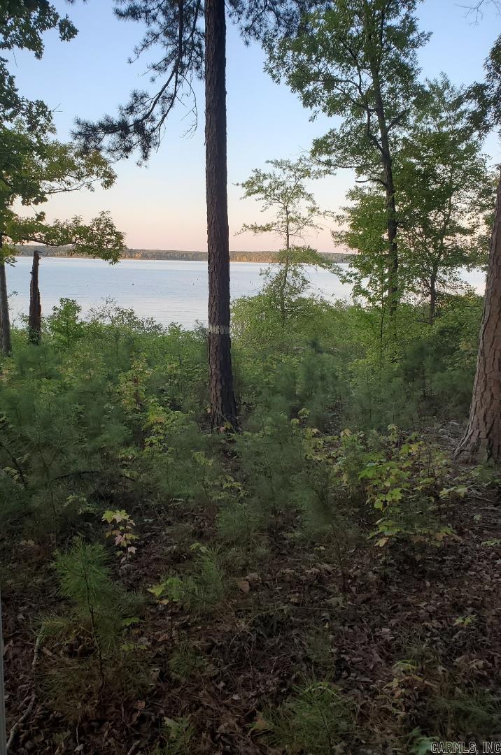 Diamond Bluff Estates - Land