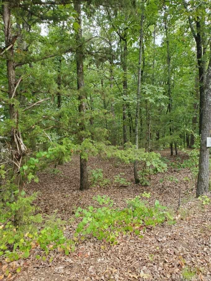 Diamond Bluff Estates - Land