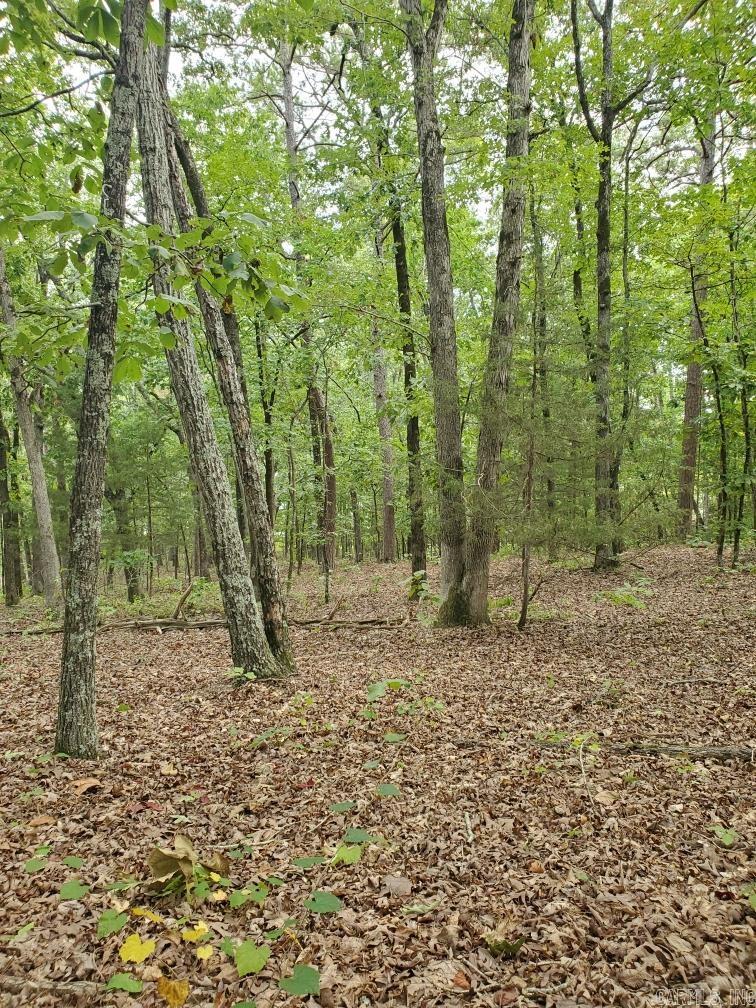 Diamond Bluff Estates - Land