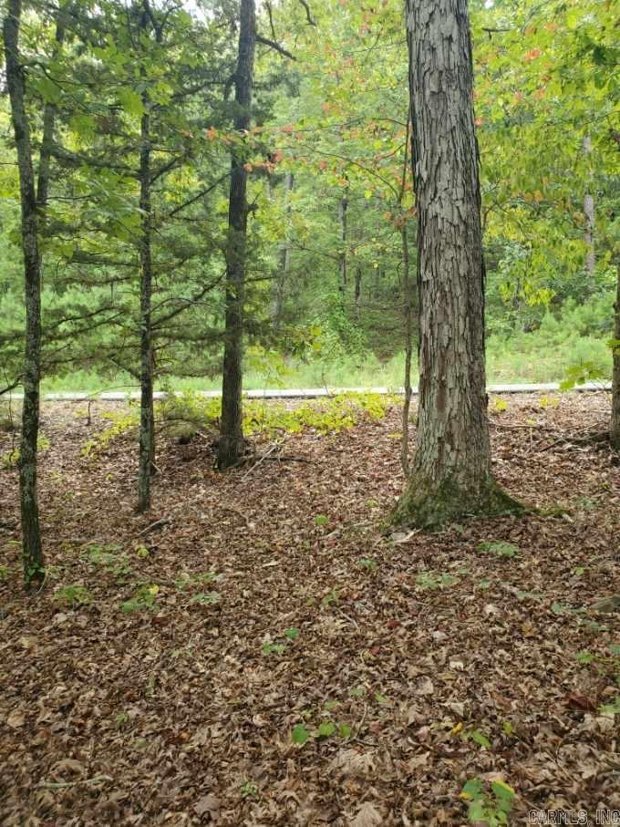 Diamond Bluff Estates - Land