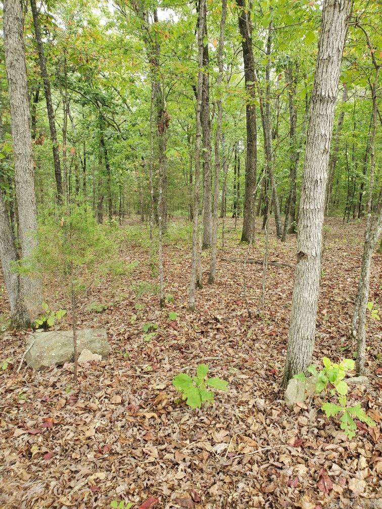 Diamond Bluff Estates - Land