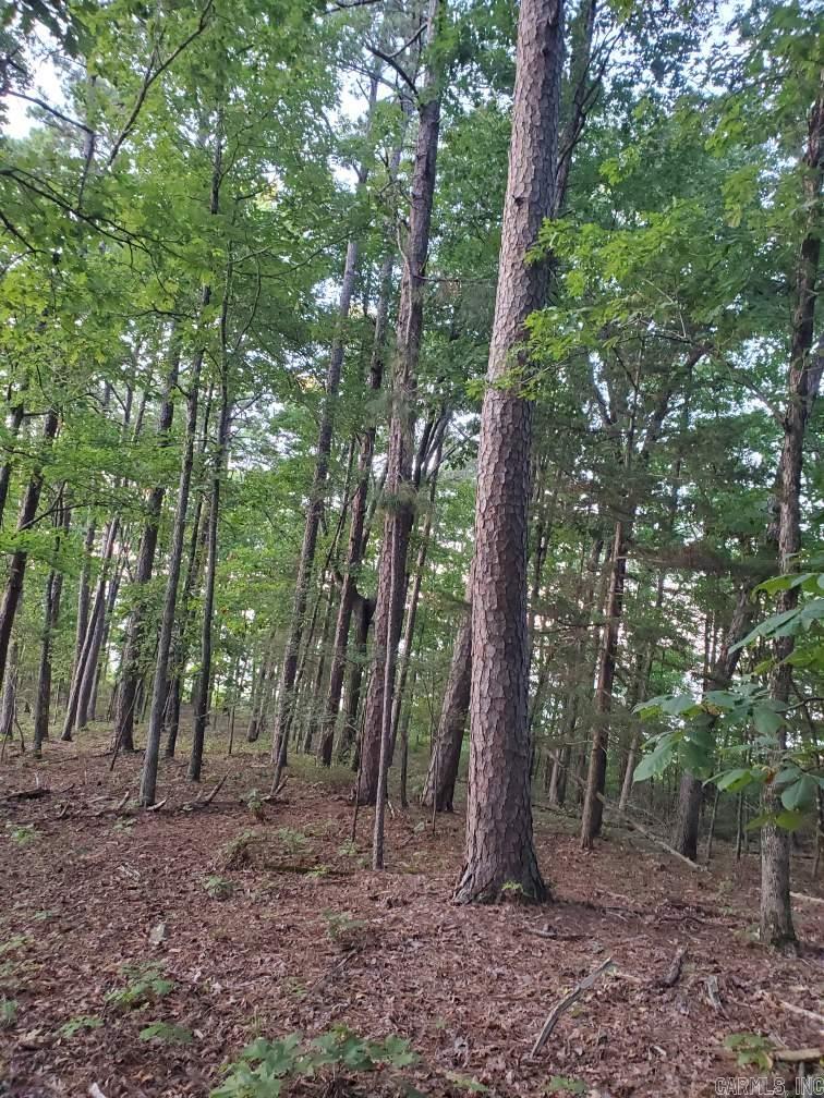 Diamond Bluff Estates - Land