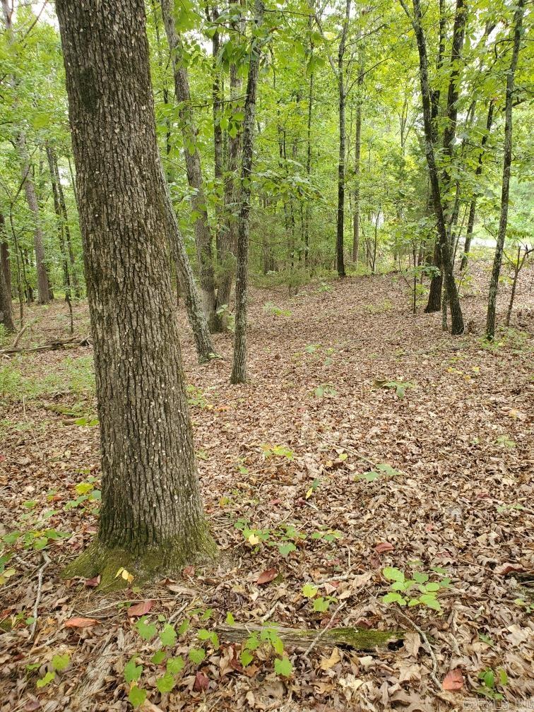 Diamond Bluff Estates - Land