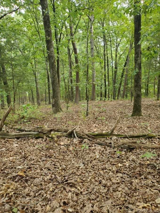 Diamond Bluff Estates - Land