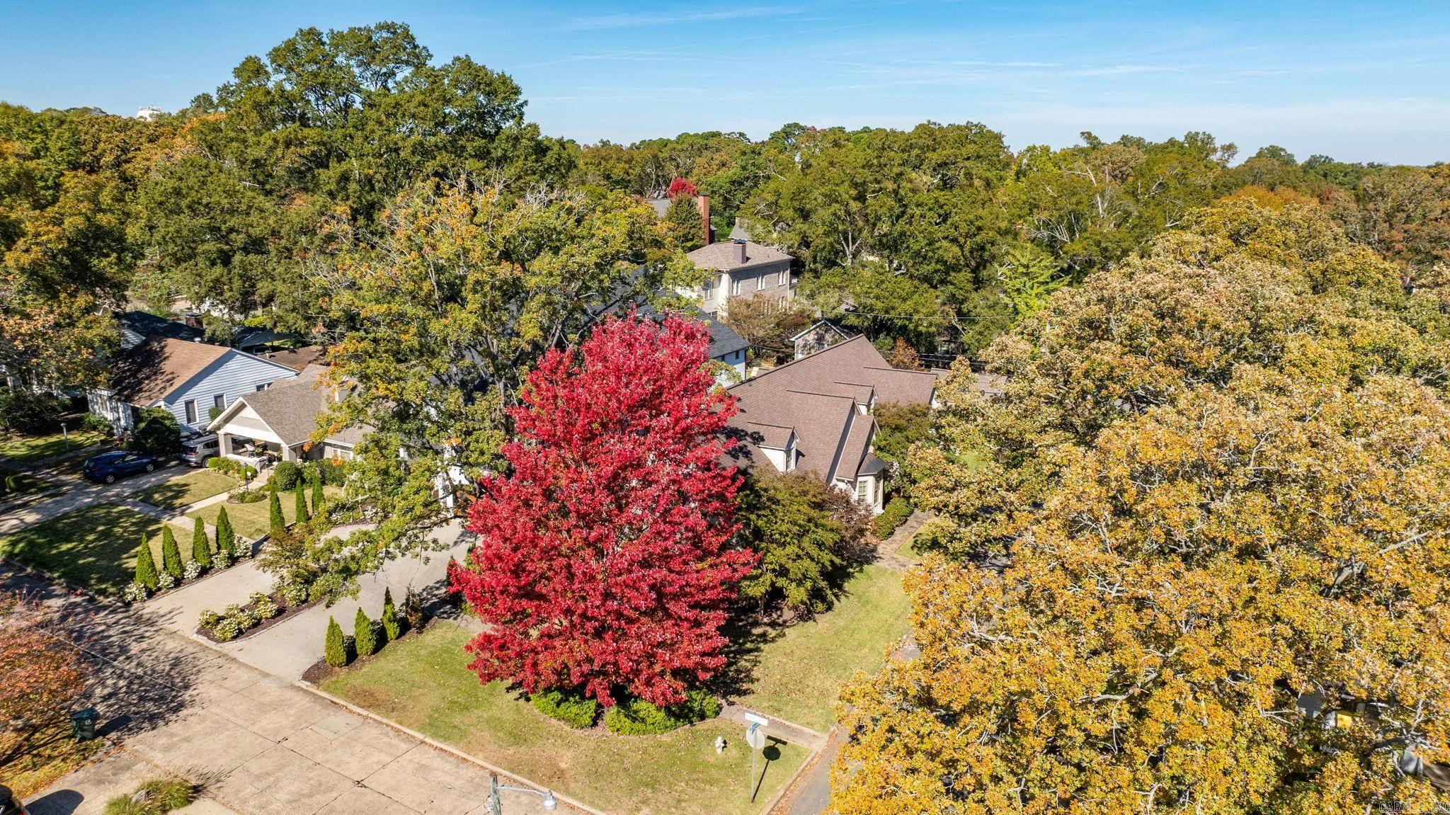 NEWTONS - Residential