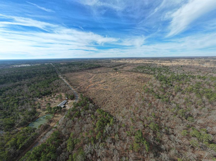 This 70 acre scenic property offers beautiful mountain views and features a predominantly level terrain, making it ideal for development, farming, or recreational pursuits. This topographical advantage simplifies construction processes and offers versatility in land use. The area is loaded with deer as well as great turkey hunting! Another huge bonus is that it is just down the road from Murfreesboro, AR and only a few miles from SWAHA marina on Lake Greeson, this recreational property is located convenient to many area attractions including the Little Missouri River. Don't miss out on this wonderful opportunity to own a piece of paradise in a great location. Utilities available. Schedule a viewing today and discover the endless possibilities that await you!