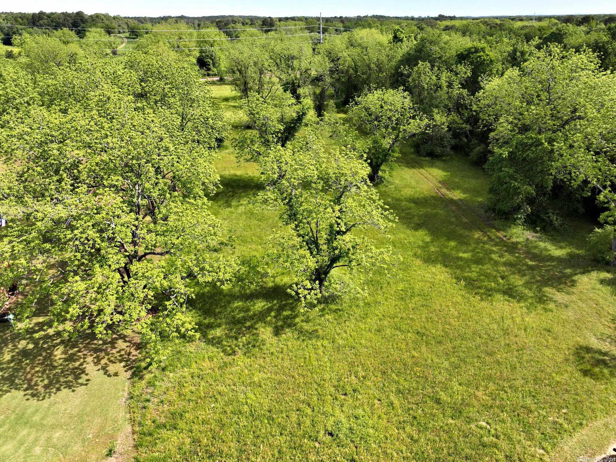 Pecan Meadows - Land