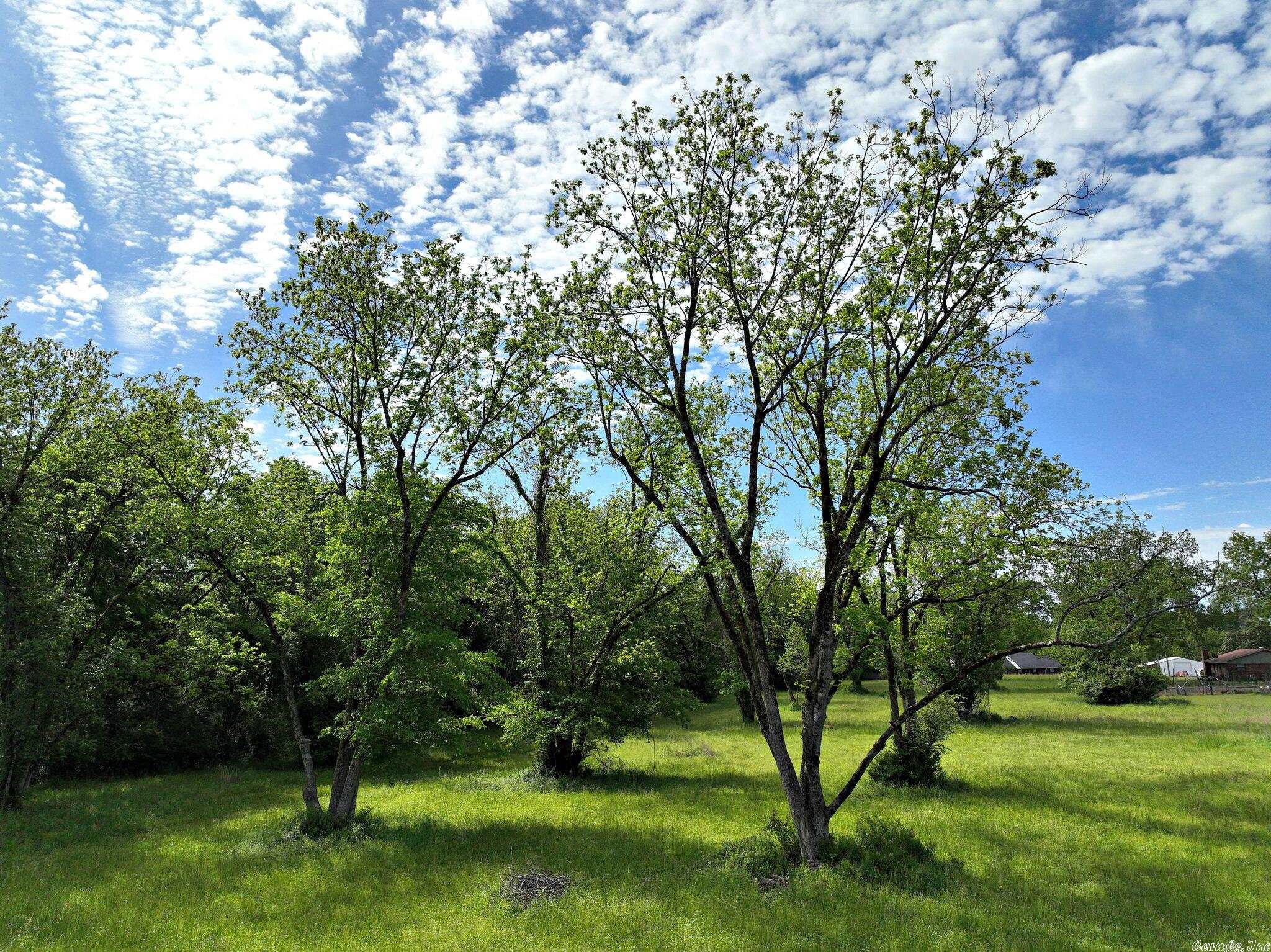 Pecan Meadows - Land