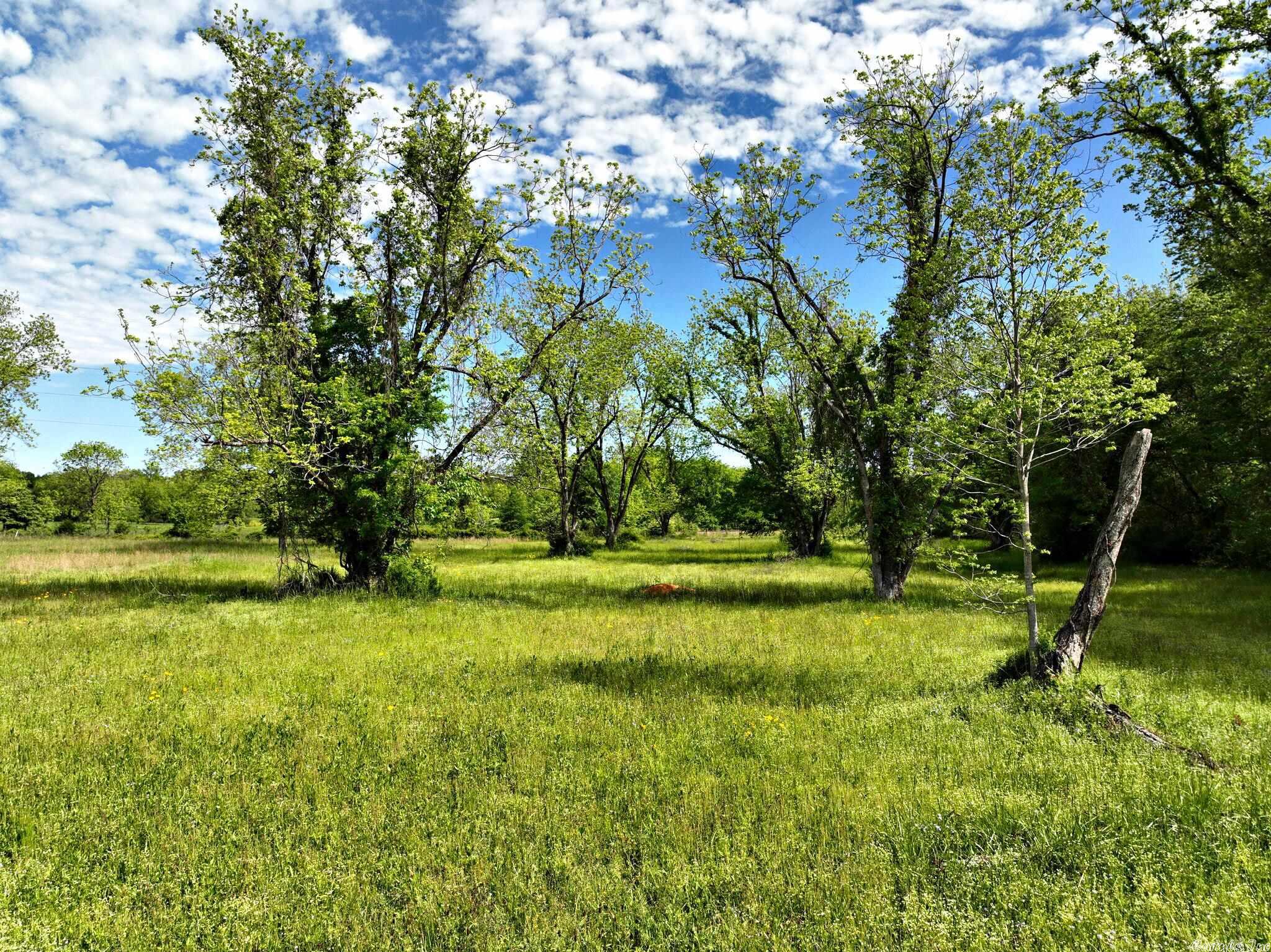 Pecan Meadows - Land