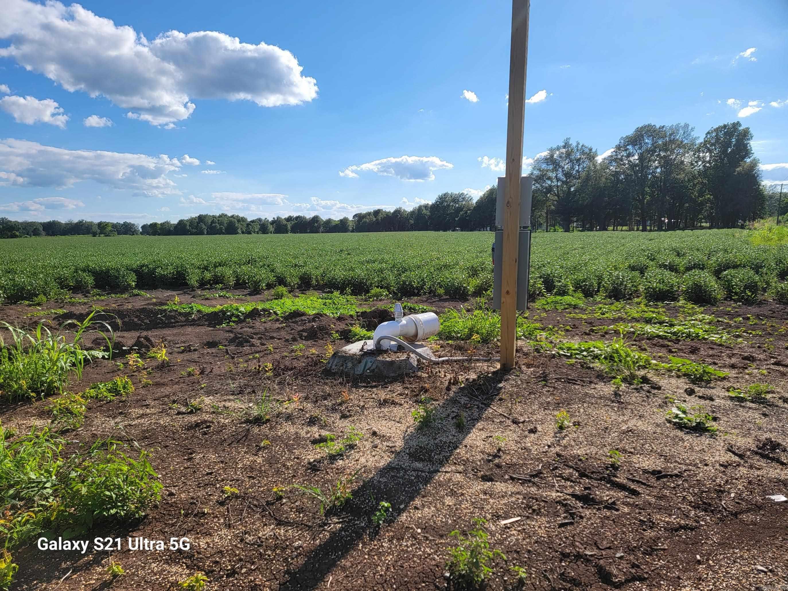21.68 acres of farmland with recently installed 6" irrigation well. This farmland is in the Farm Program. All mineral rights are included. Right off paved road.